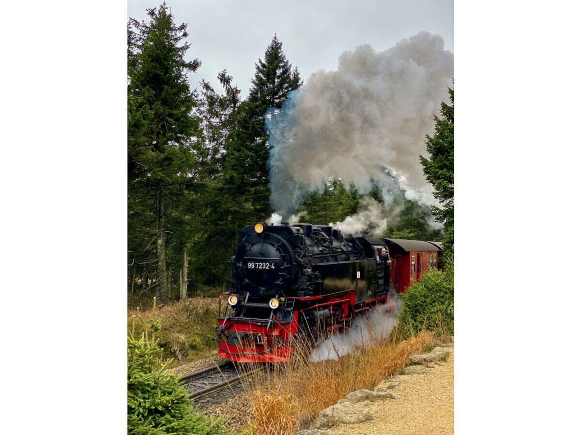 382255 - foto 39