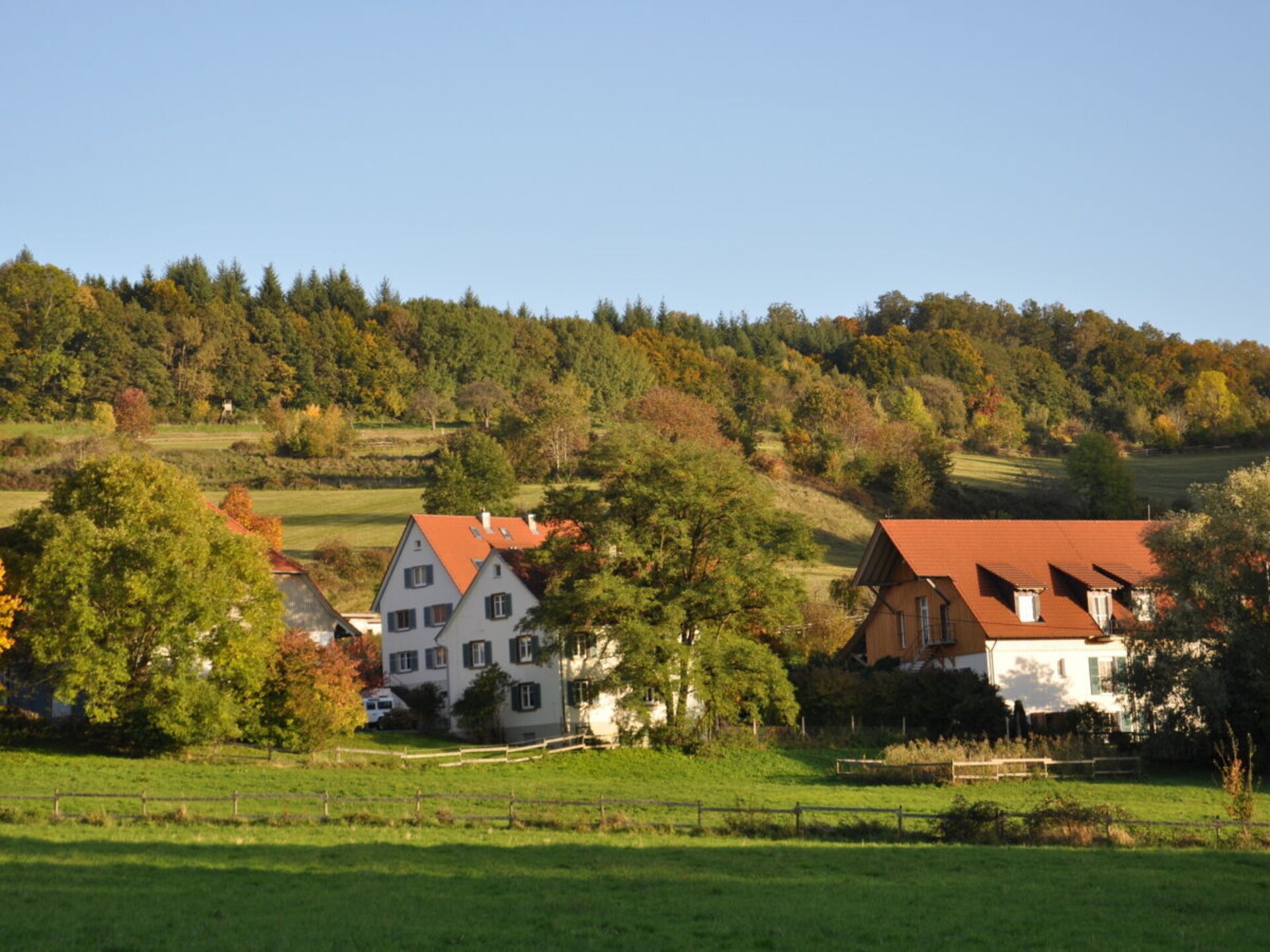 481042 - foto 3