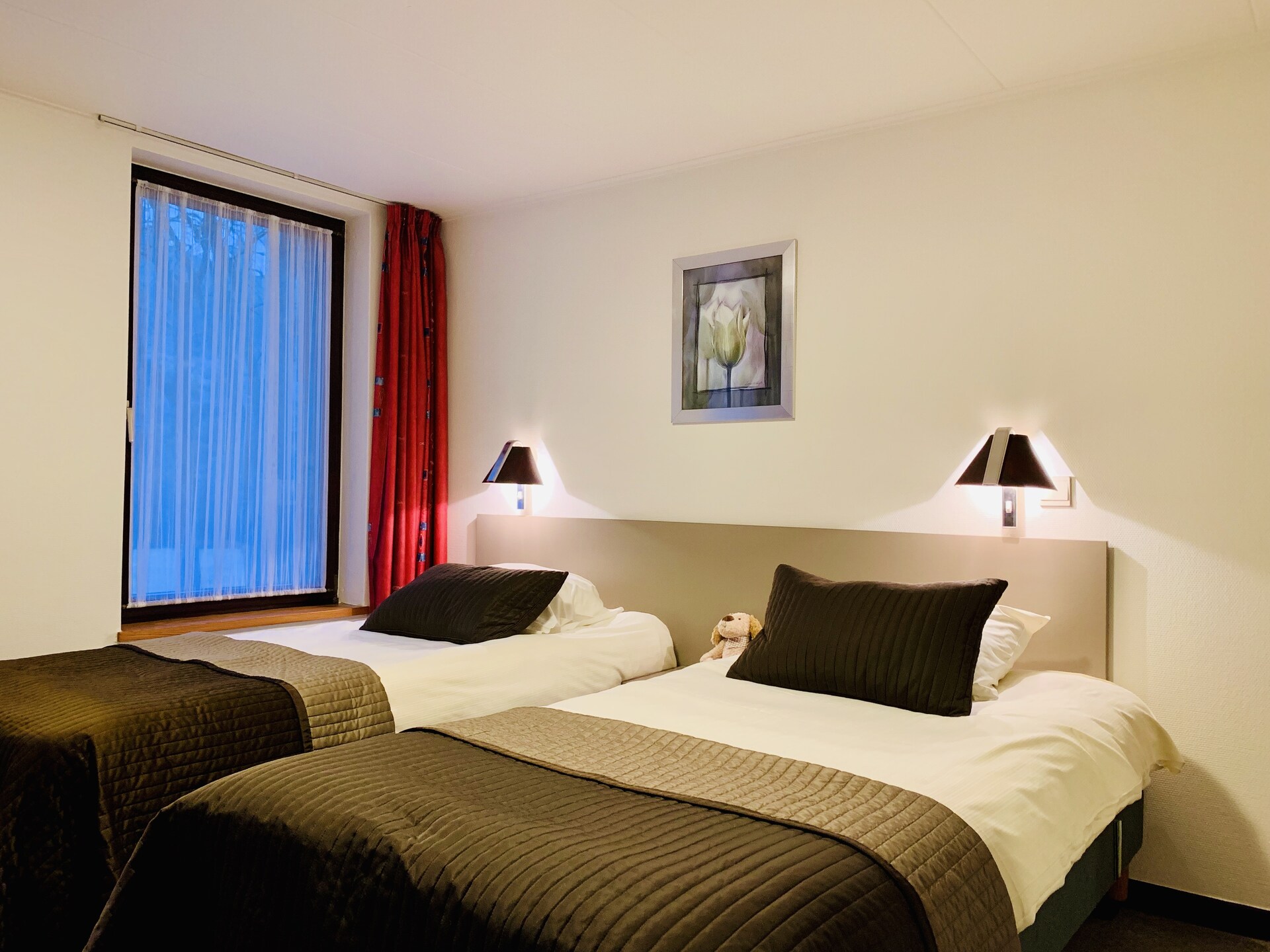 Vrijstaand chalet voor 6 in de bossen van Malmedy met privétuin - foto 7