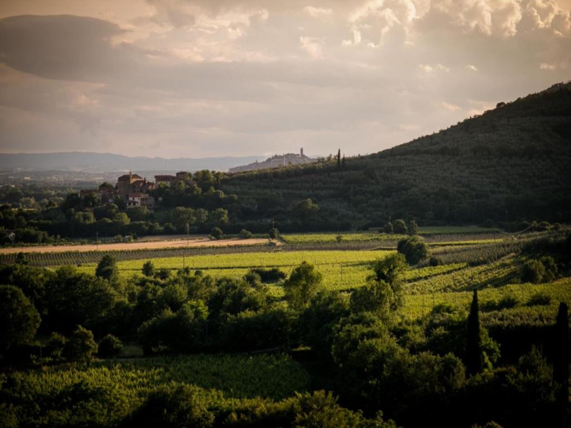 Authentieke Toscaanse boerderij Fiordaliso in Castiglion Fiorentino - foto 30