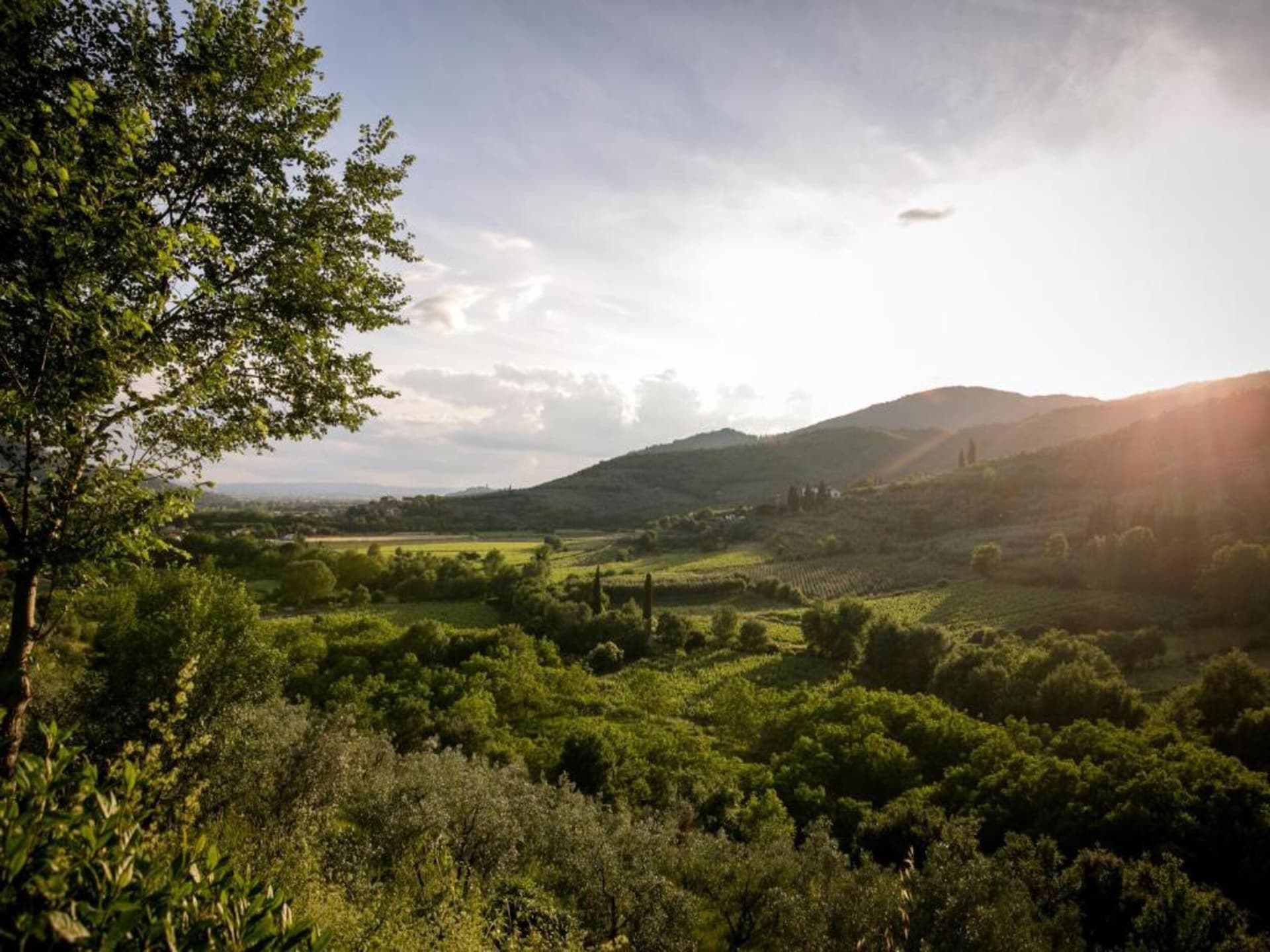 Authentieke Toscaanse boerderij Fiordaliso in Castiglion Fiorentino - foto 32