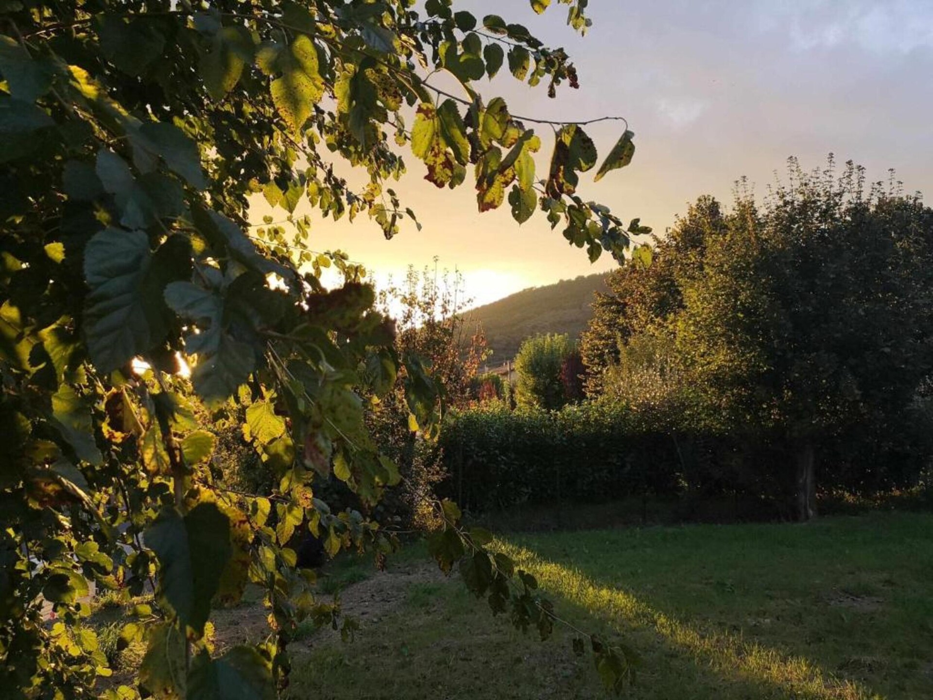 Authentieke Toscaanse boerderij Fiordaliso in Castiglion Fiorentino - foto 27