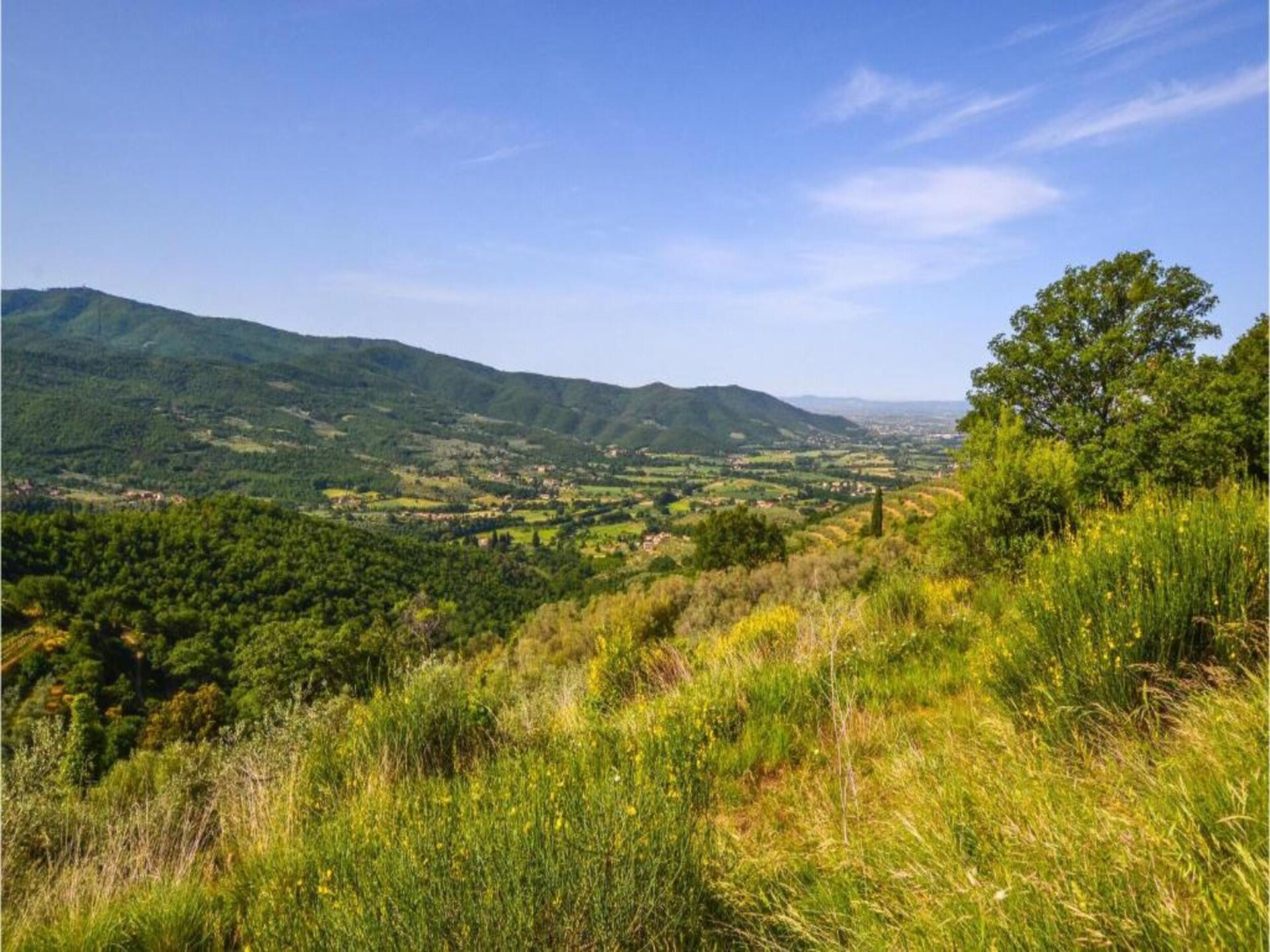 Authentieke Toscaanse boerderij Fiordaliso in Castiglion Fiorentino - foto 29