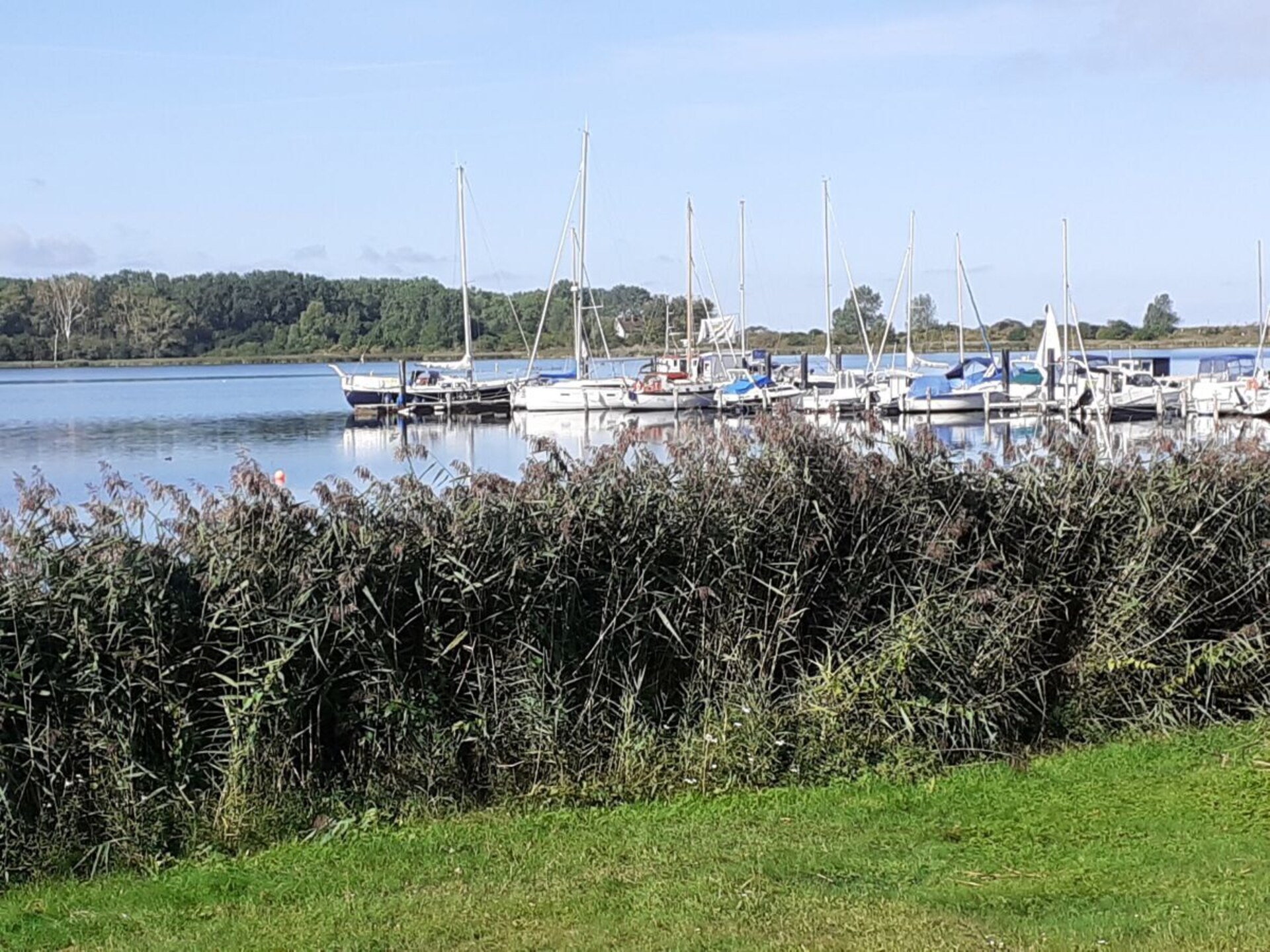 179341 - foto 29