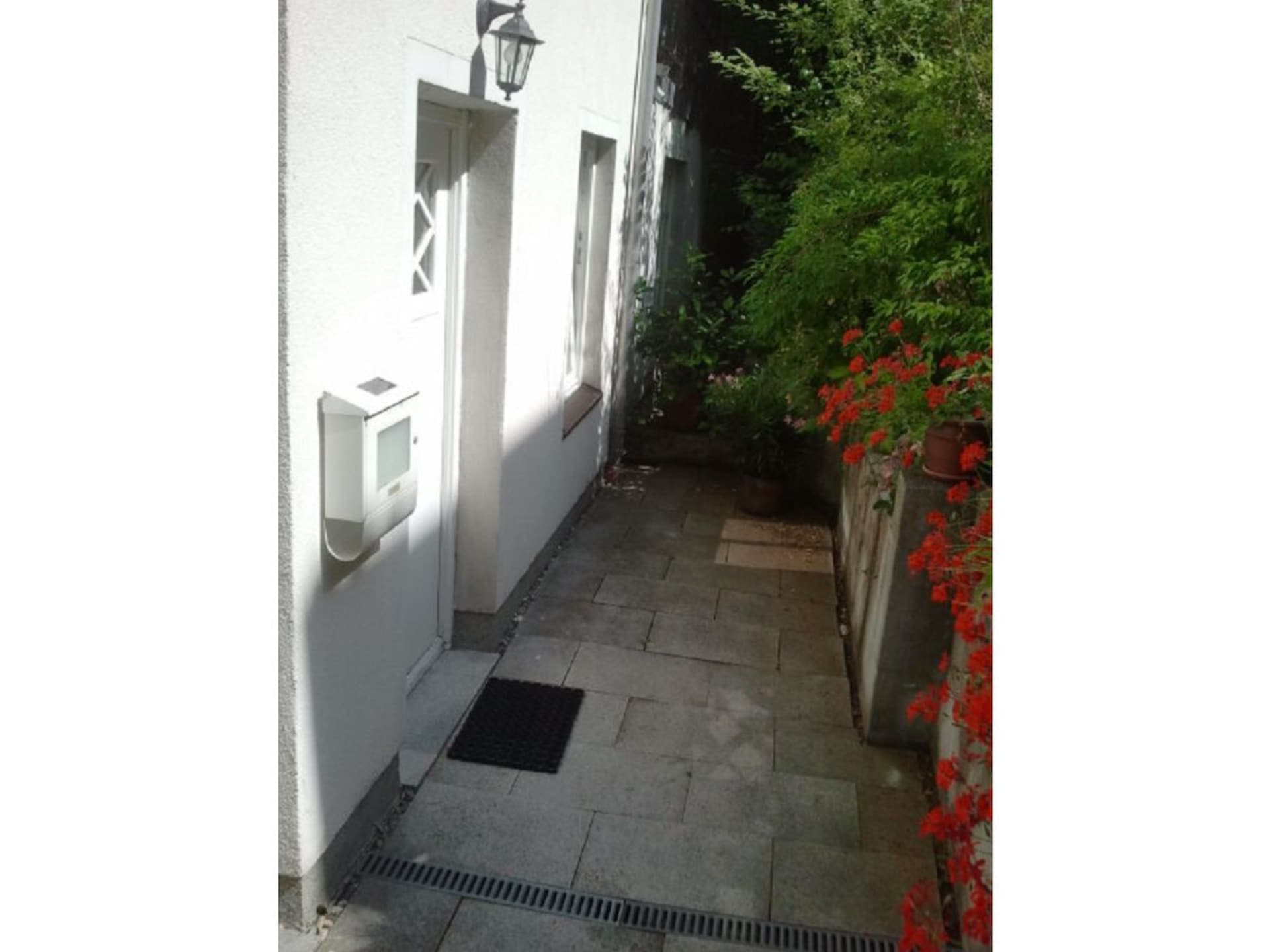 162774 - foto 2