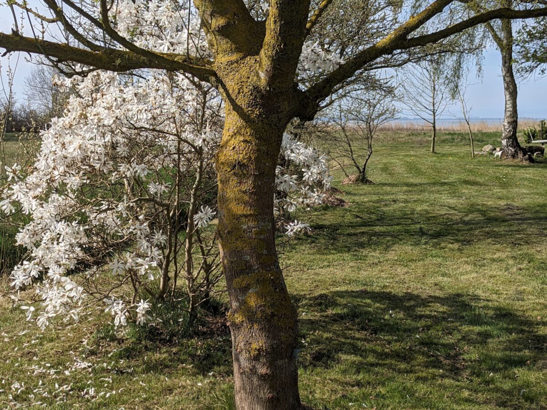 784174 - foto 6