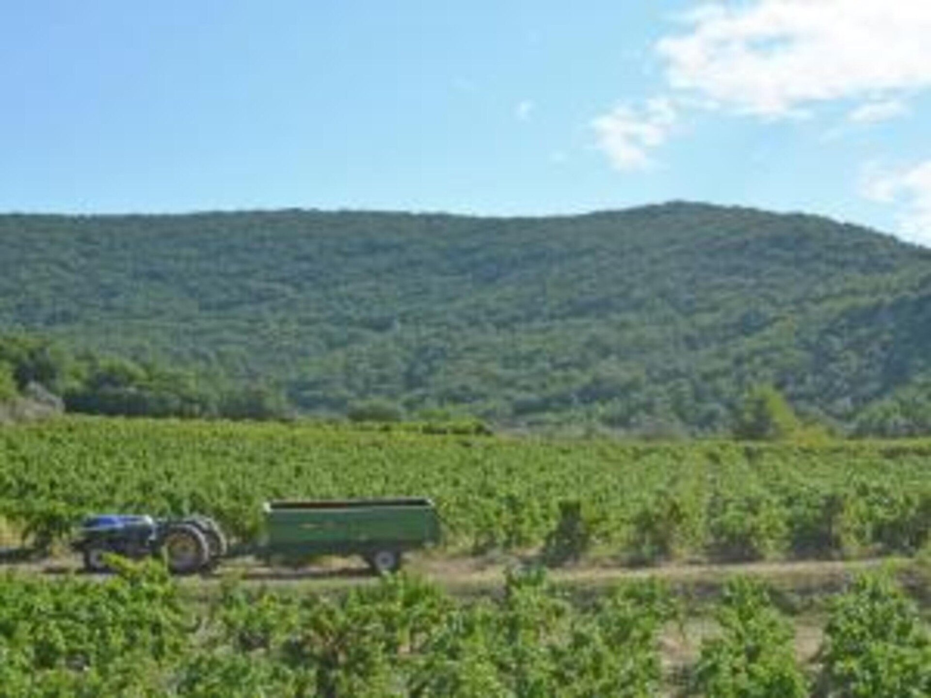 Villa met privézwembad en valleizicht nabij Saint-Laurent-de-Carnols - foto 27
