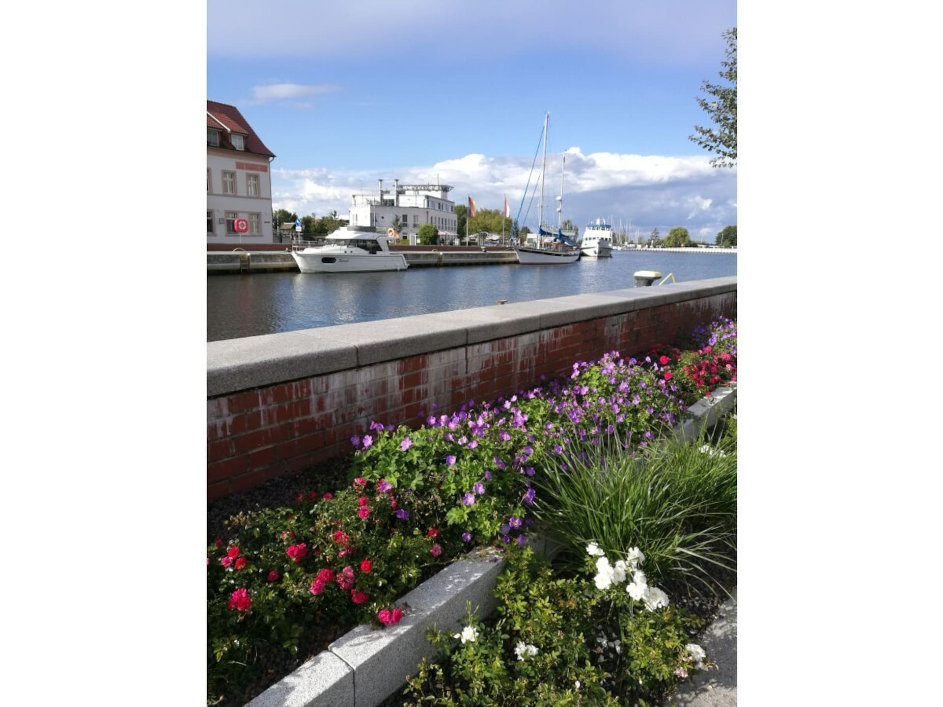 182869 - foto 38