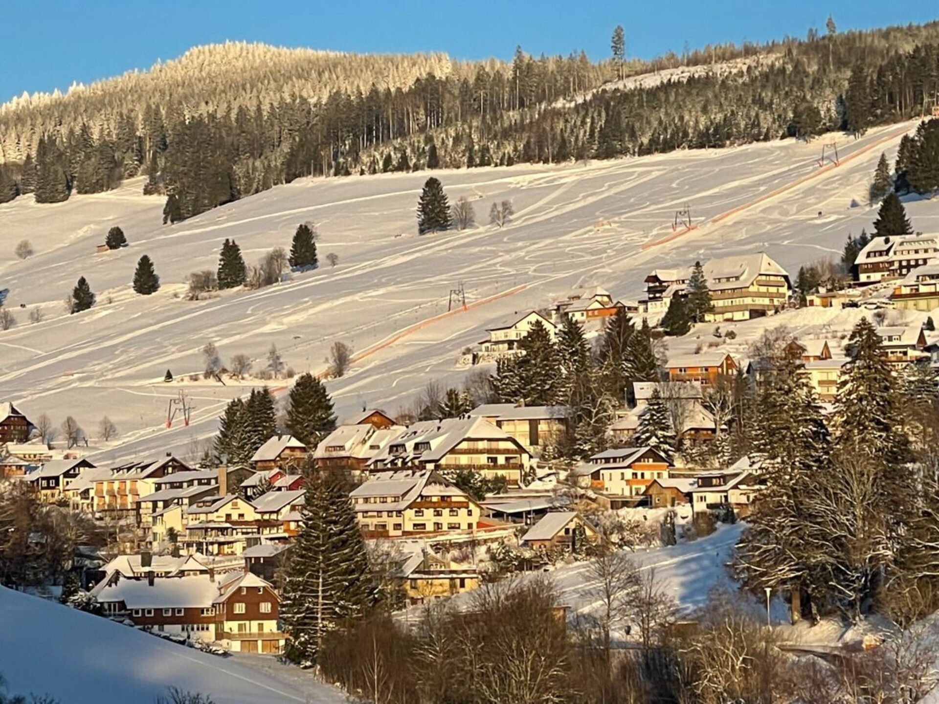 593938 - foto 31