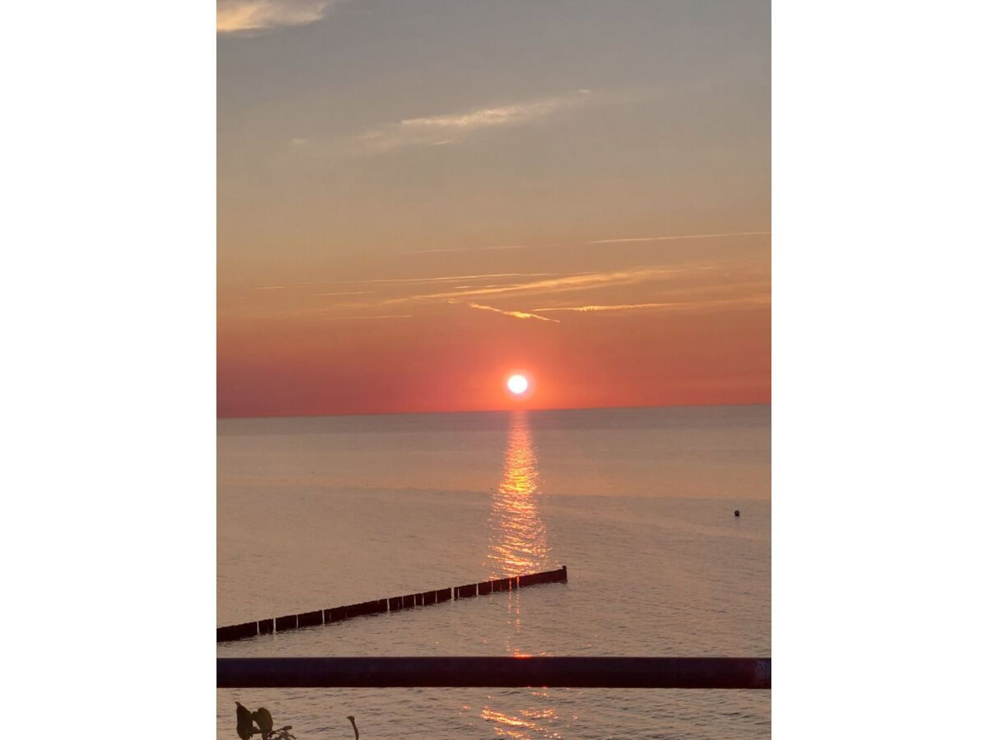 546562 - foto 16