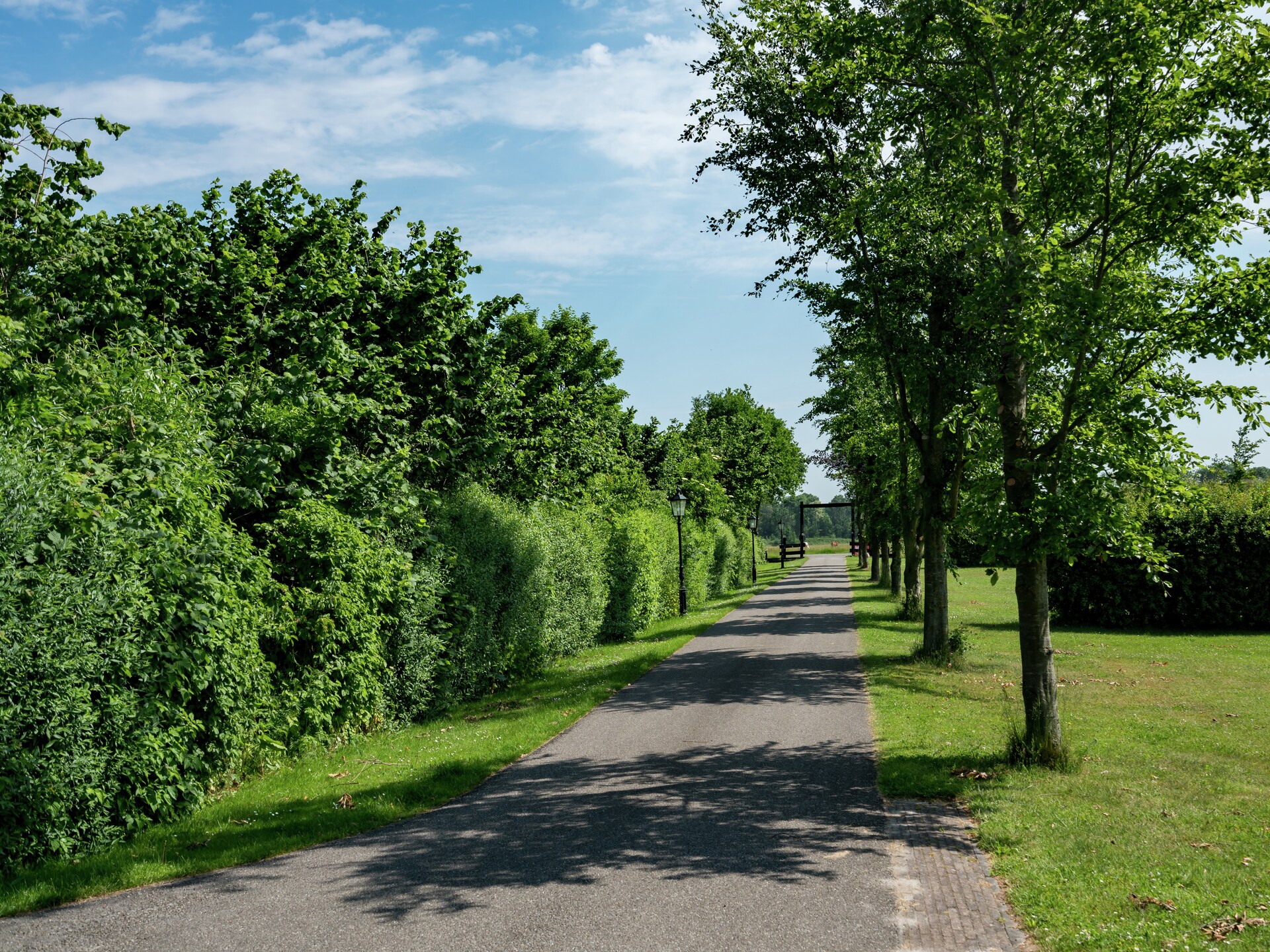 Vrijstaand vakantiehuis aan visvijver in pittoresk vissersdorpje bij Bant - foto 19