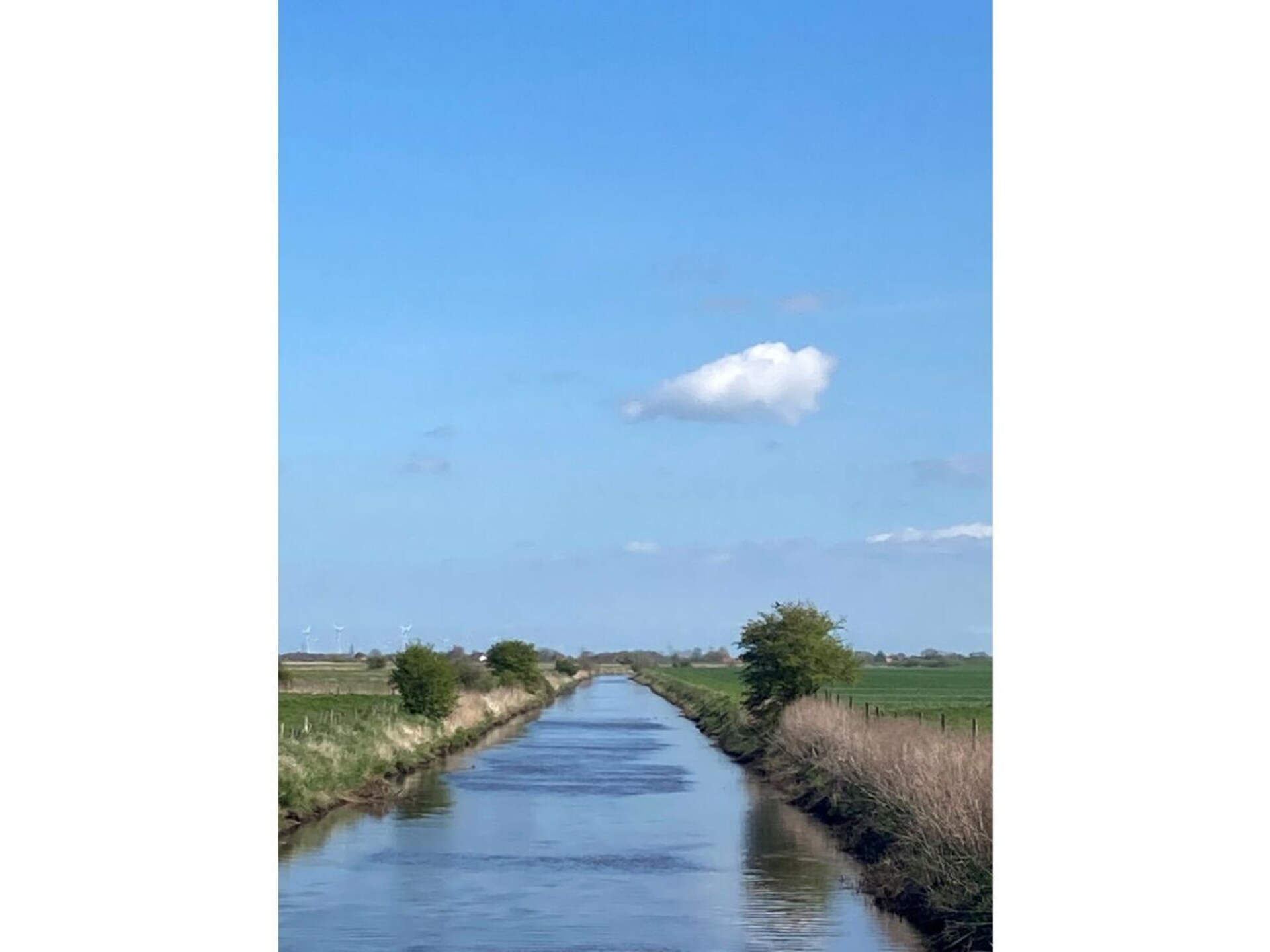 410604 - foto 19