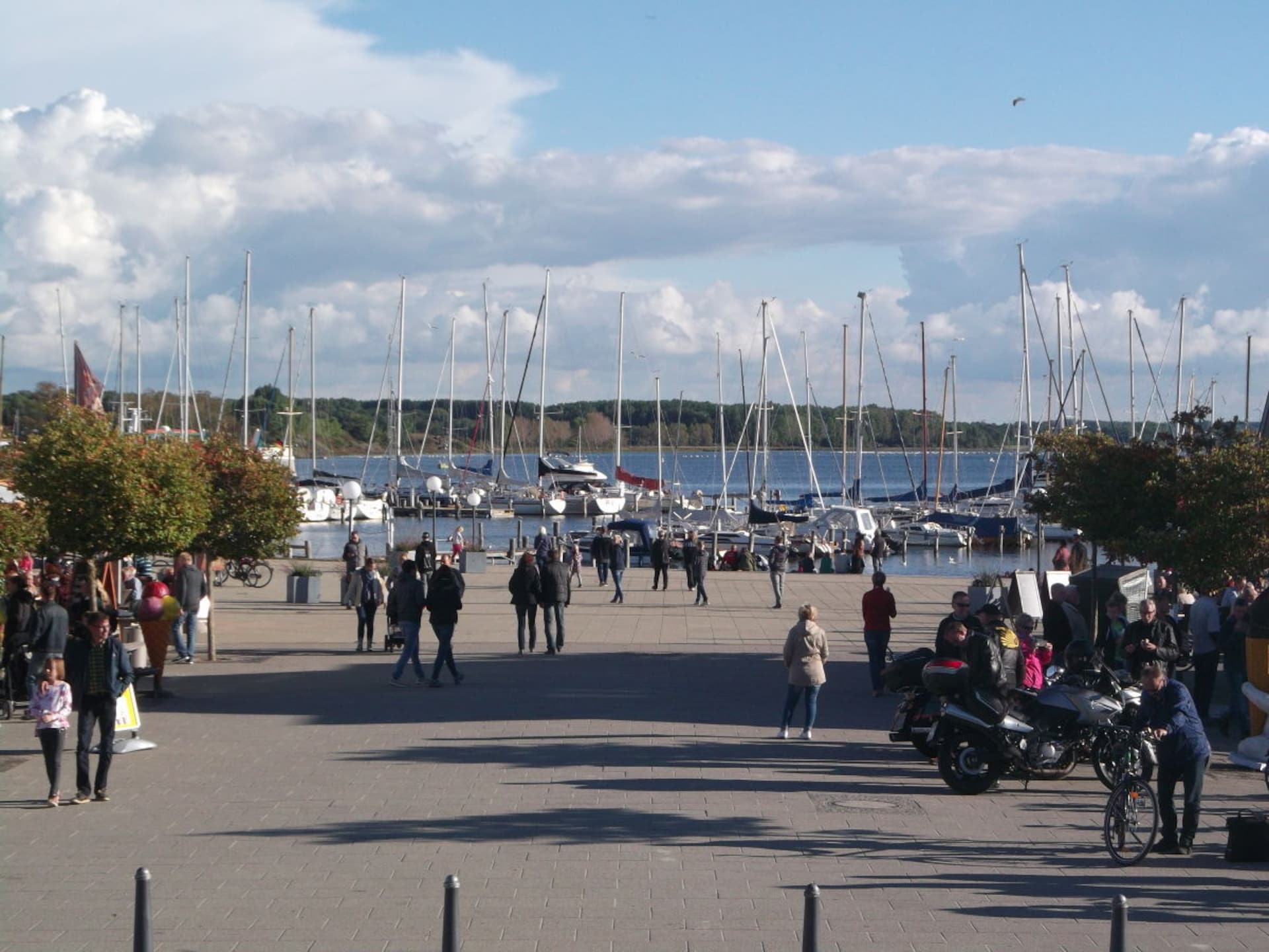 141878 - foto 18