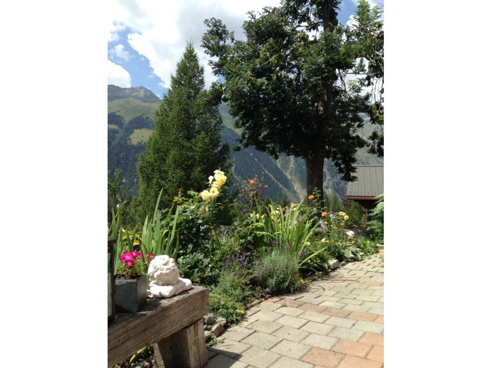 265499 - foto 2