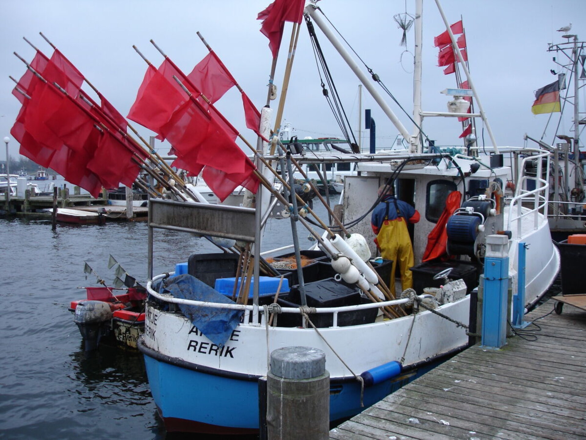407509 - foto 17