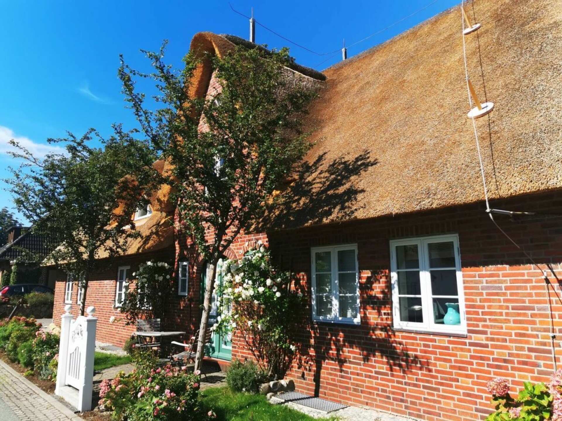 310924 - foto 1