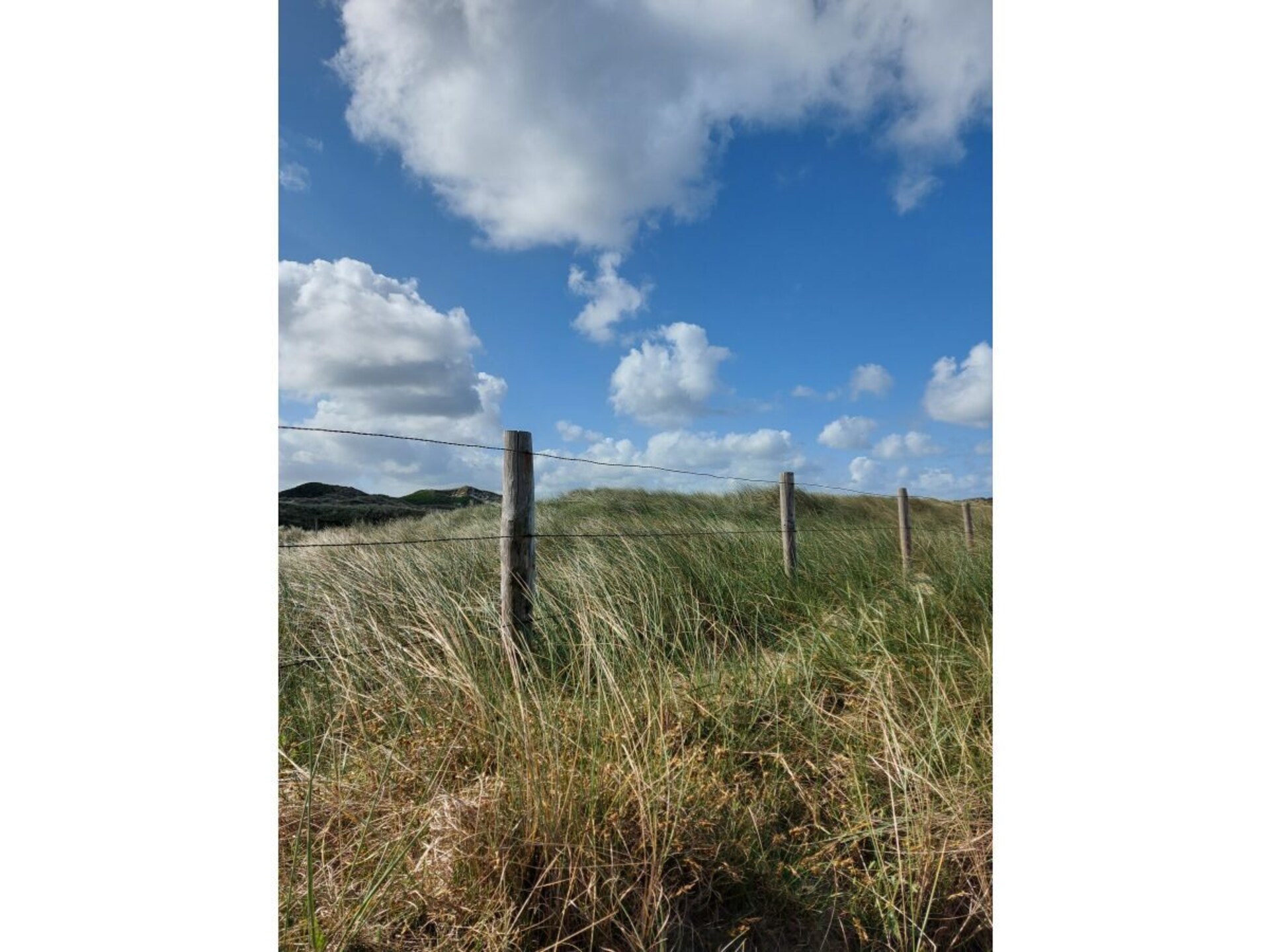 540868 - foto 21