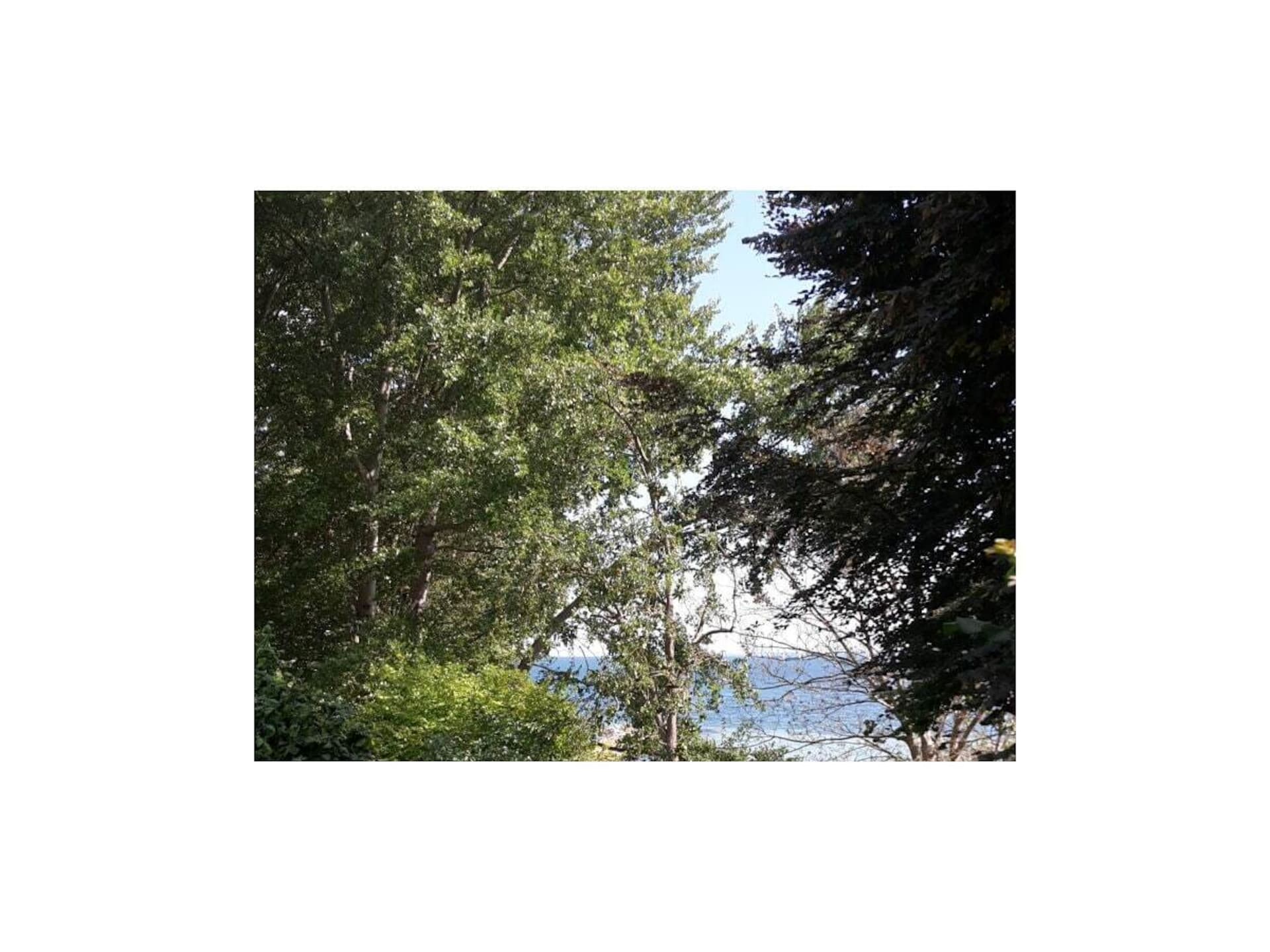372248 - foto 21
