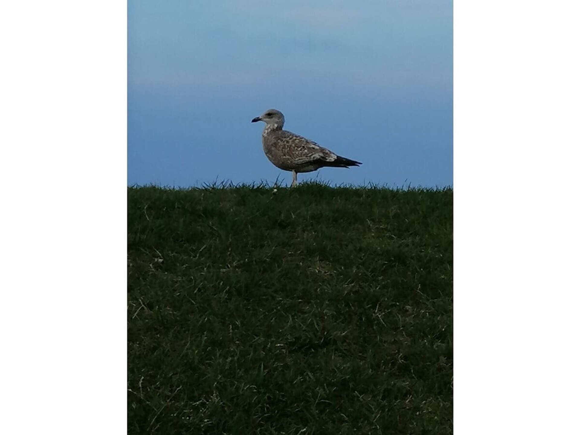275576 - foto 35