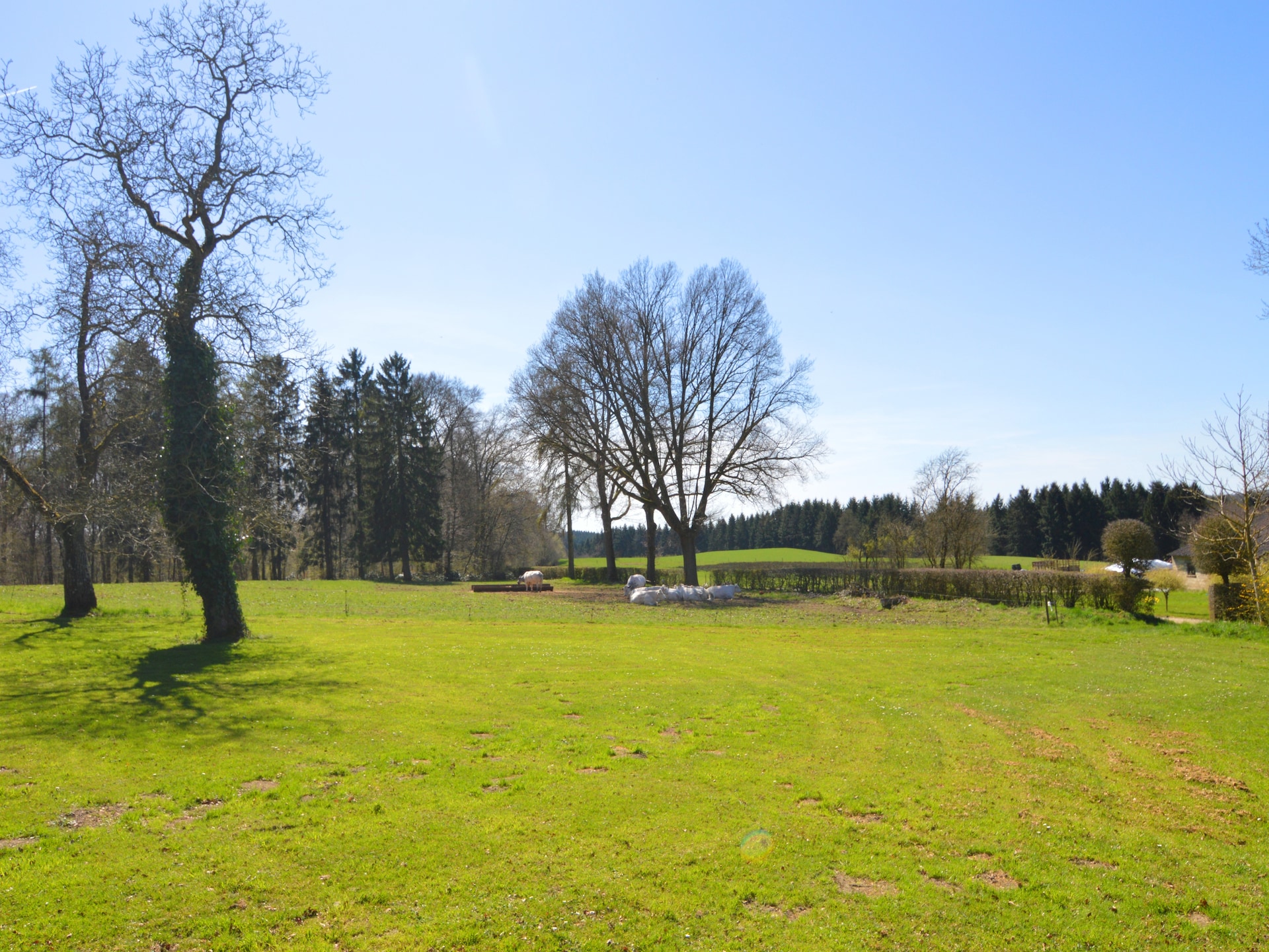9-persoons vakantiehuis met tennisbaan en tuin in Barvaux-En-Condroz - foto 24
