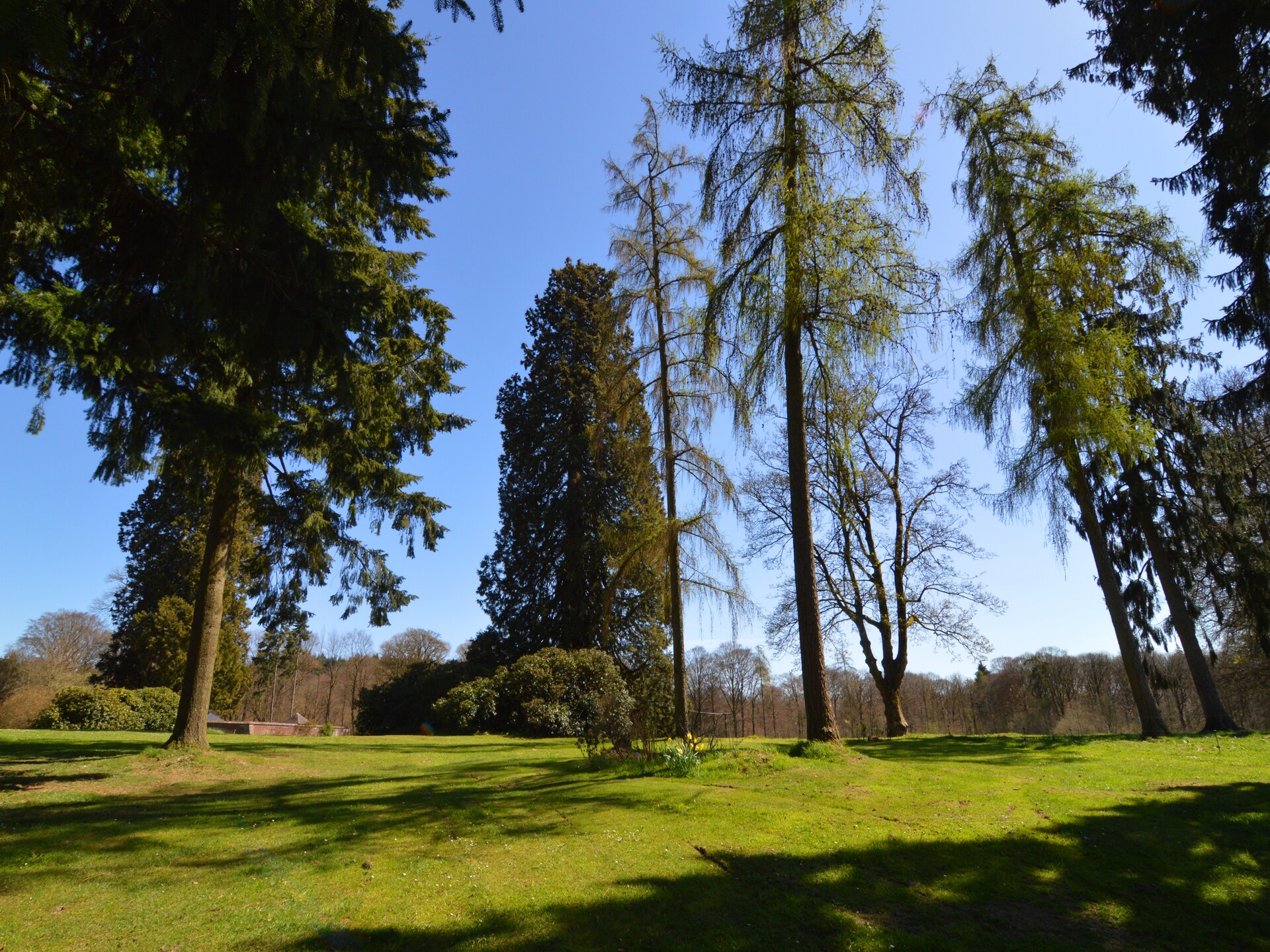 9-persoons vakantiehuis met tennisbaan en tuin in Barvaux-En-Condroz - foto 25