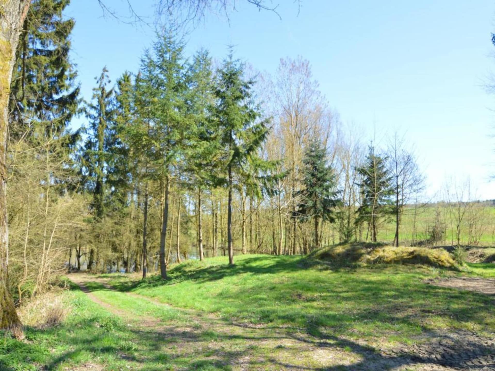 9-persoons vakantiehuis met tennisbaan en tuin in Barvaux-En-Condroz - foto 36