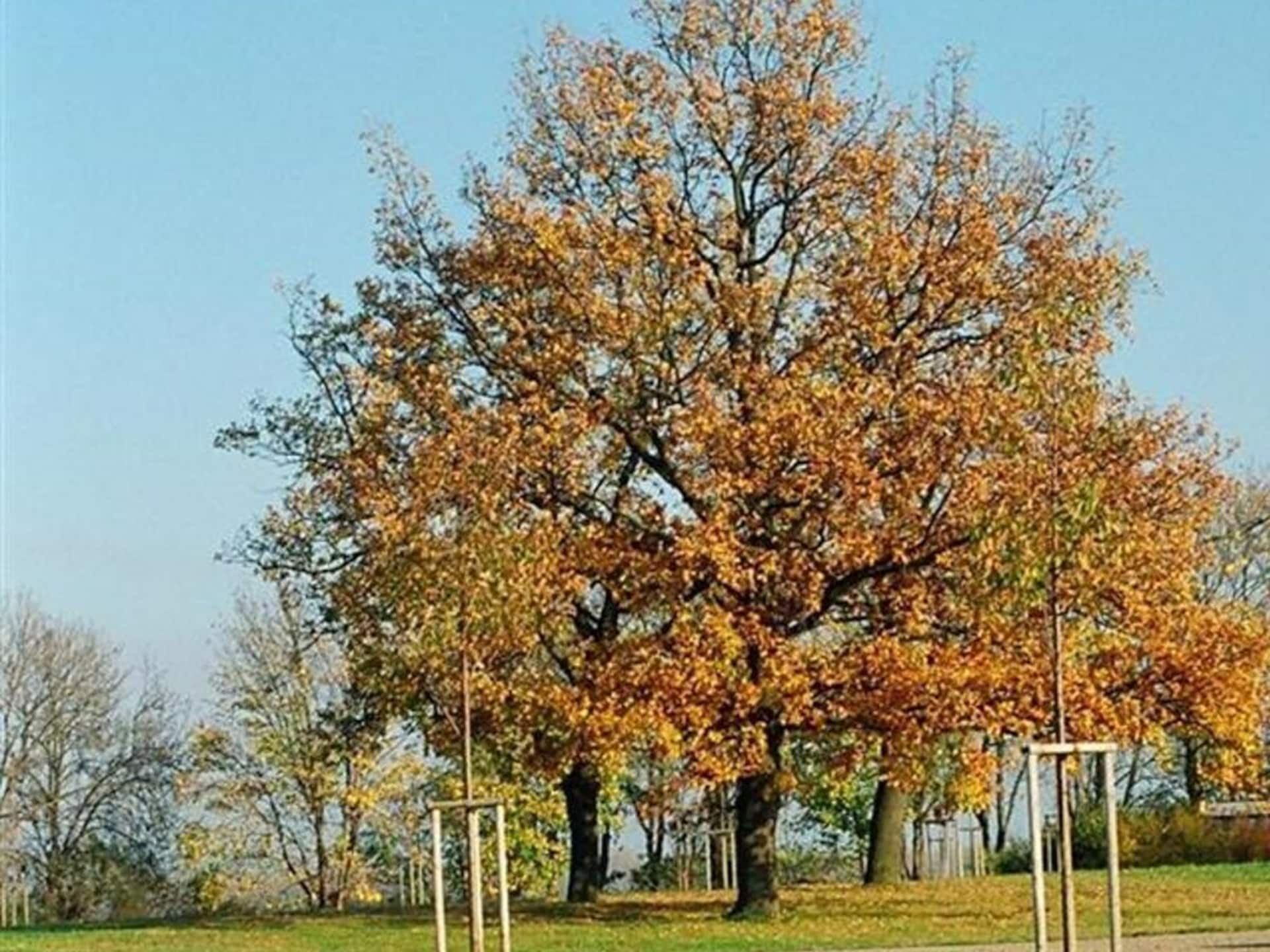 282537 - foto 17