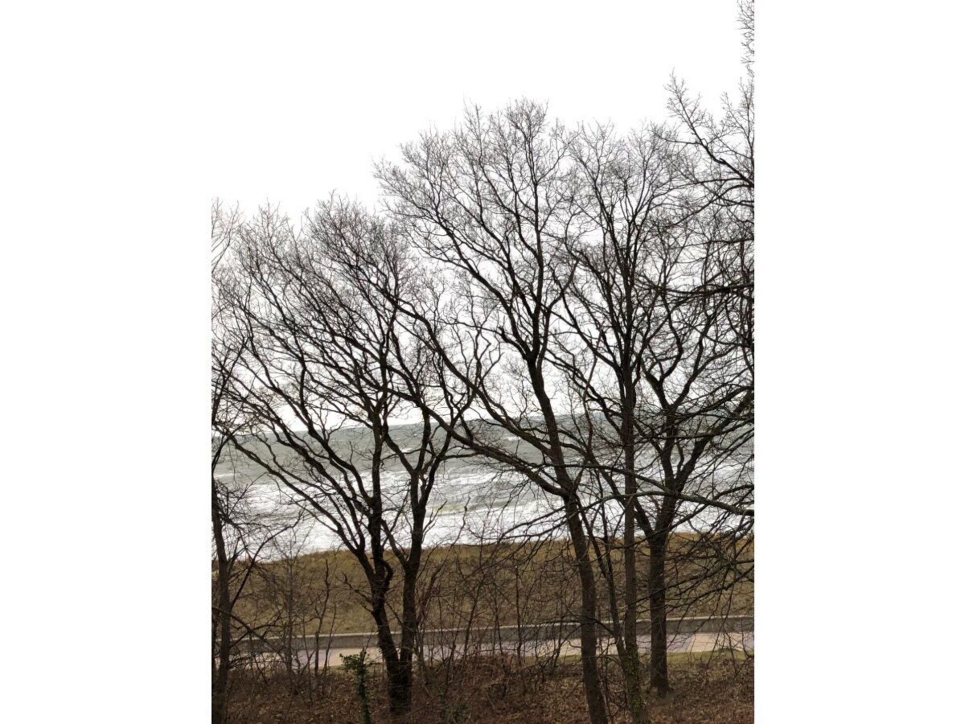 322264 - foto 10