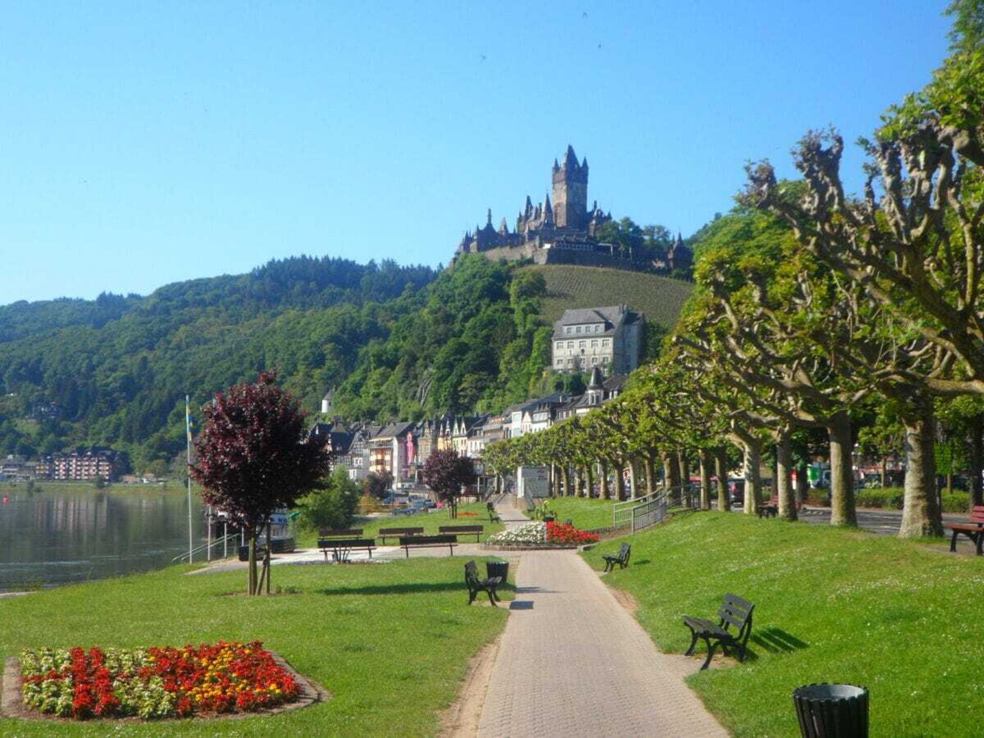 551 - foto 36