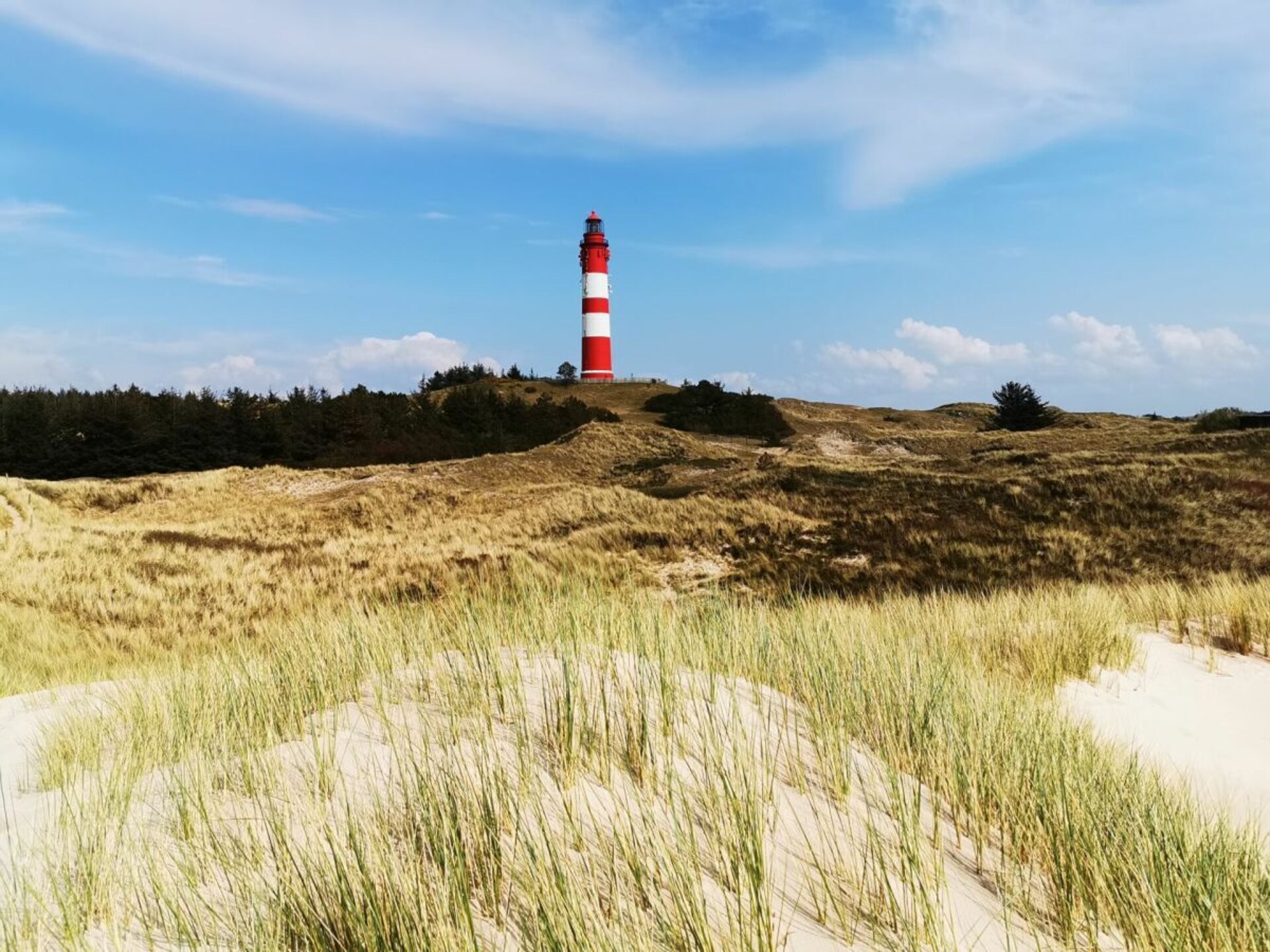 148661 - foto 17