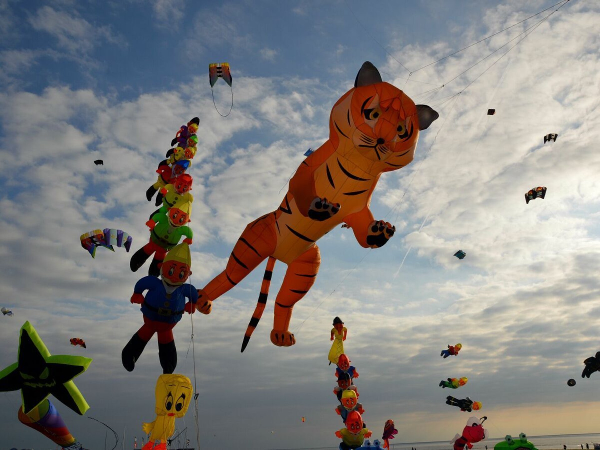 240632 - foto 11