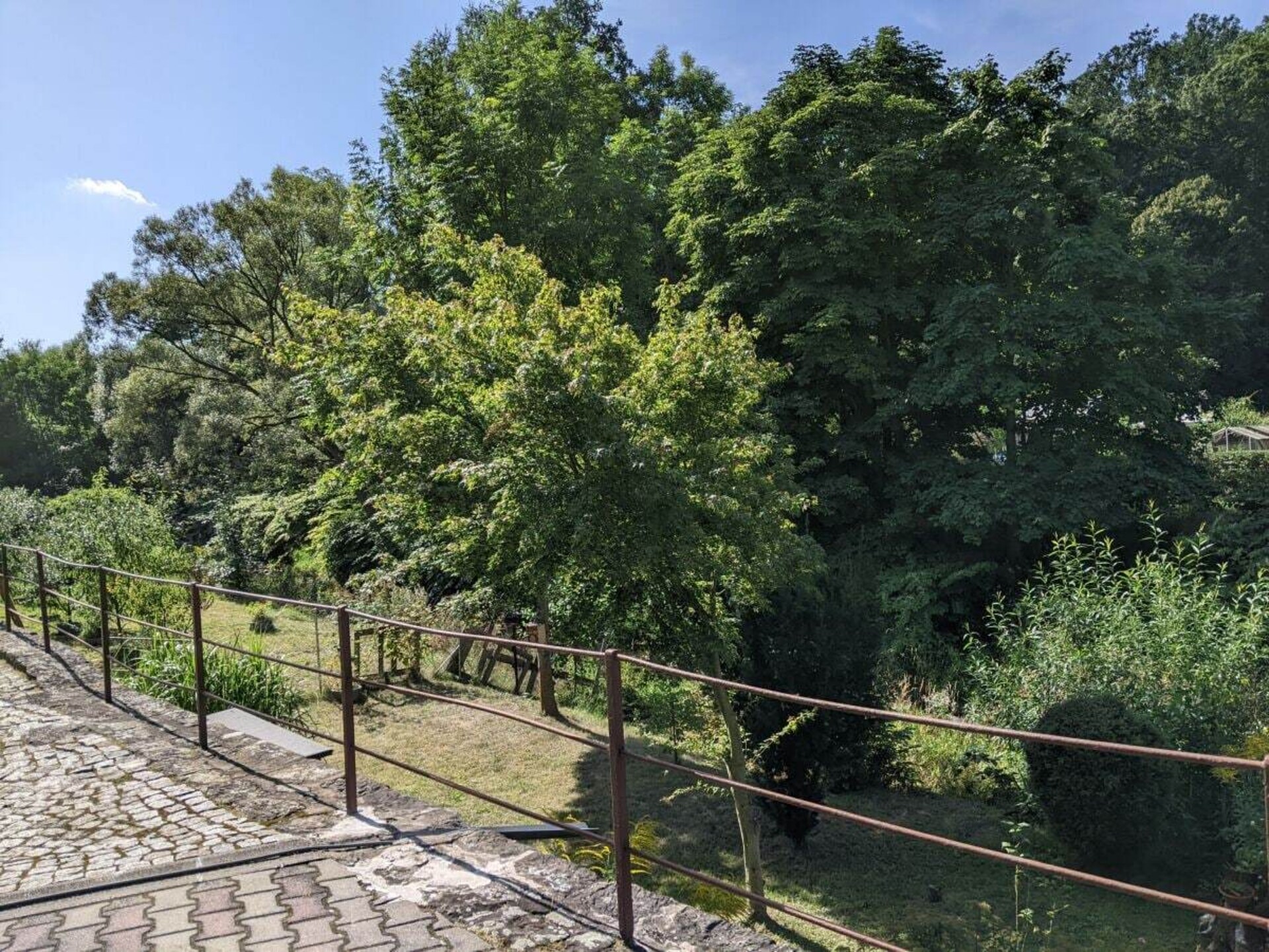 466292 - foto 2
