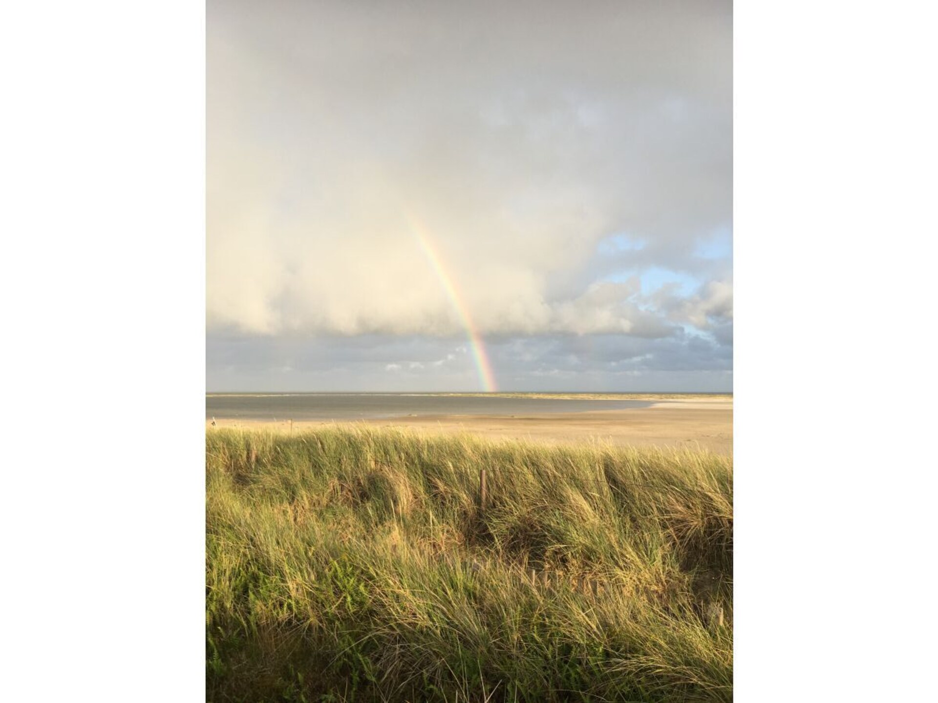 286049 - foto 21
