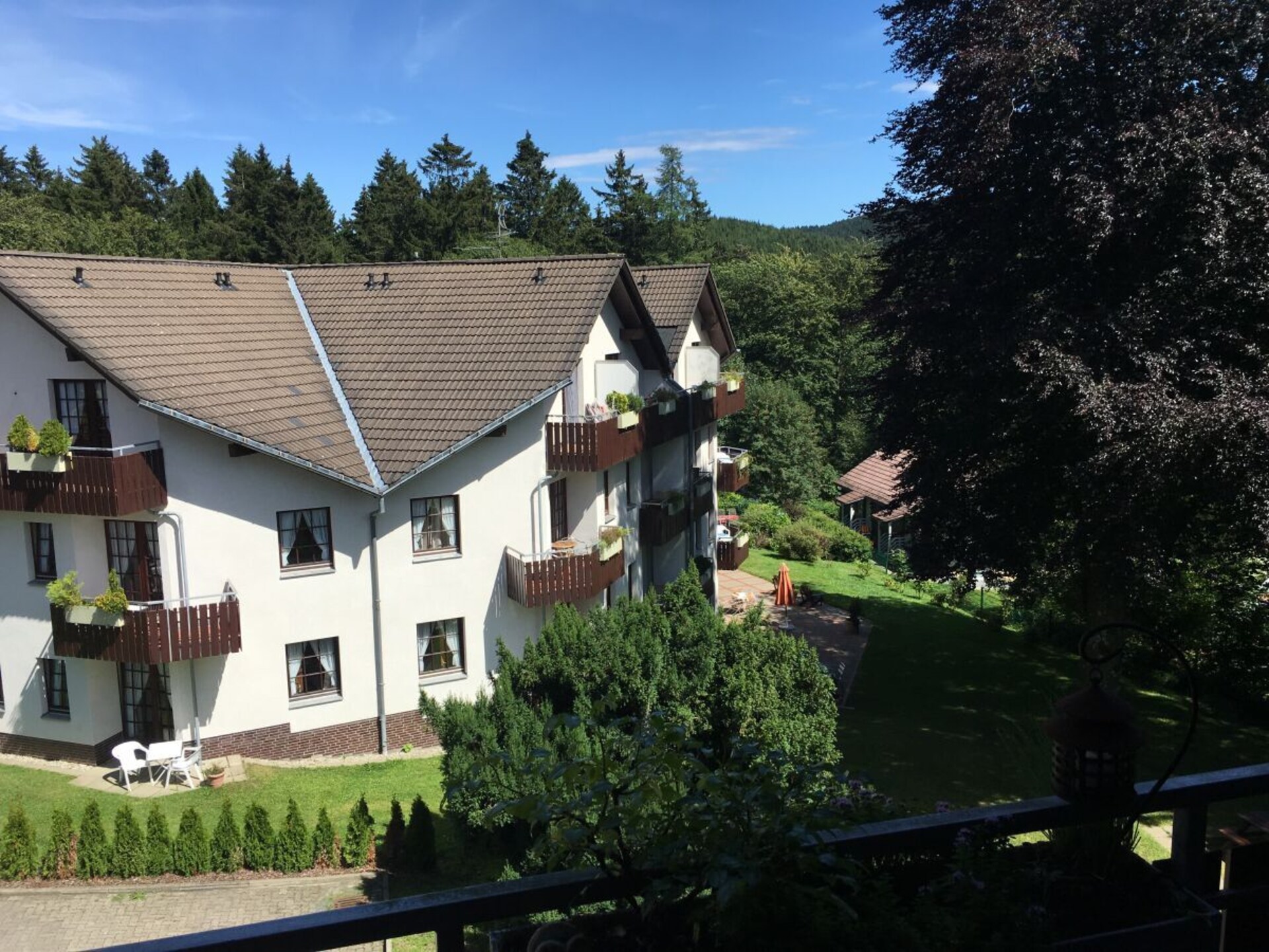 187153 - foto 3