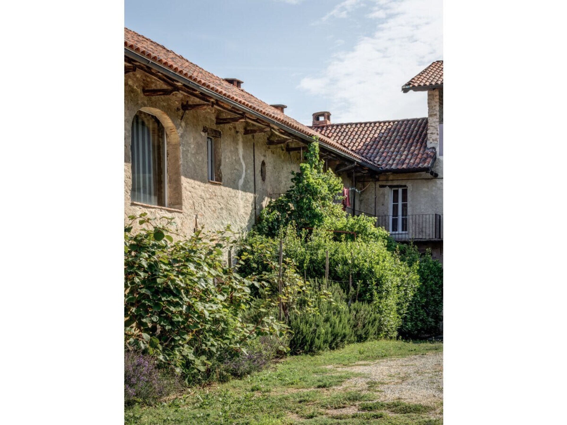 4536 - foto 2
