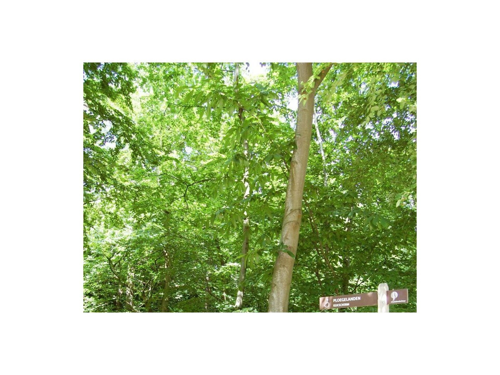 358059 - foto 17