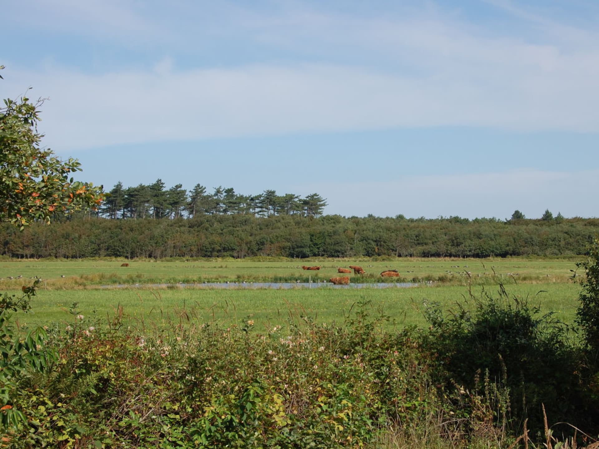 93645 - foto 14