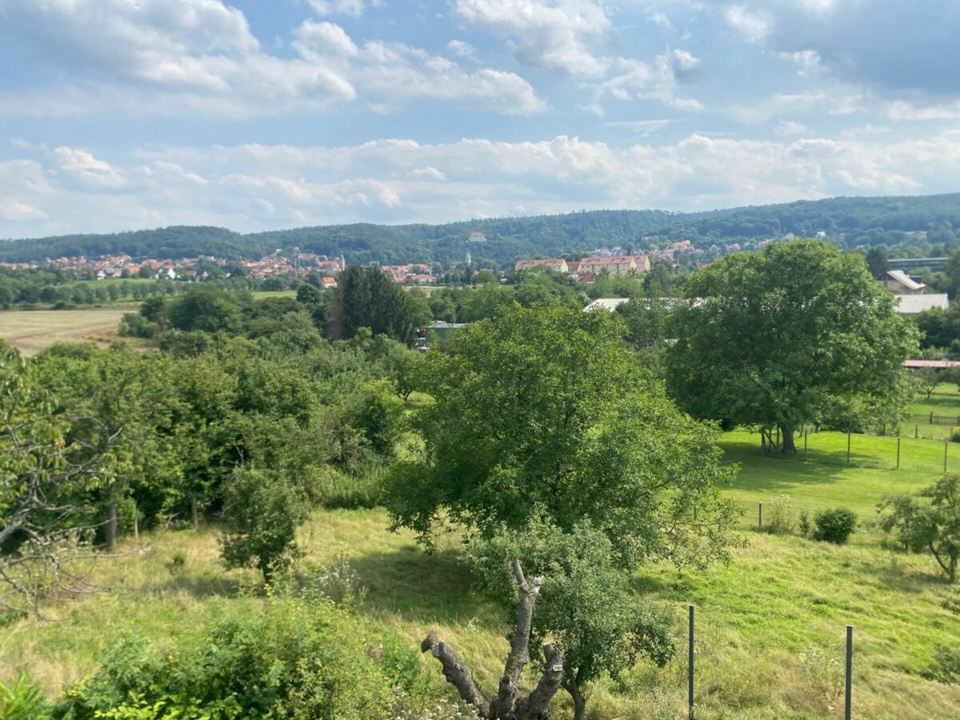 535457 - foto 2