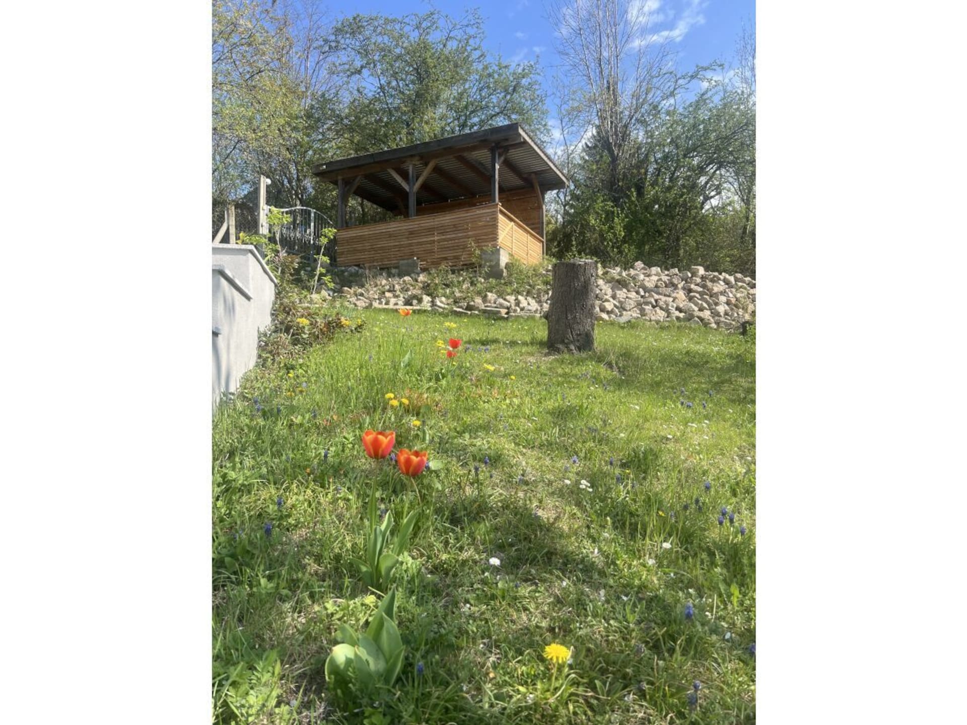 535457 - foto 7