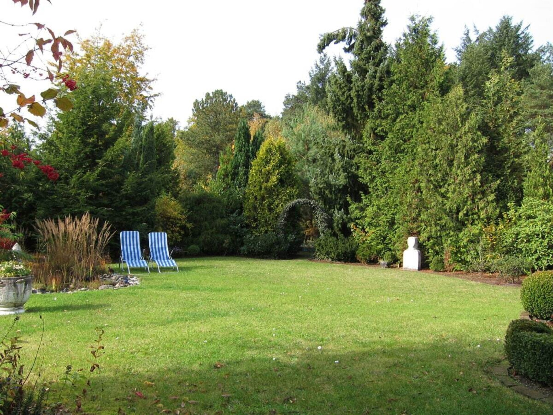 410592 - foto 5