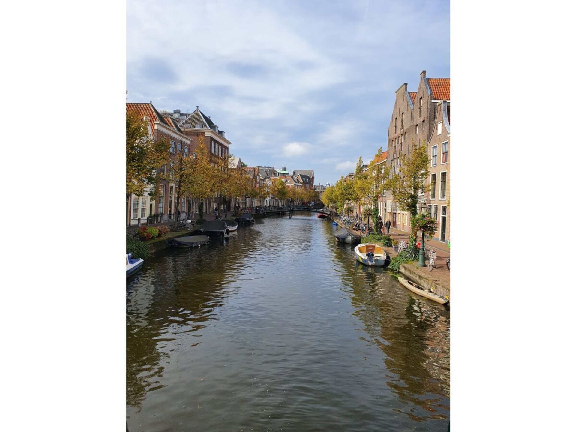 278189 - foto 30
