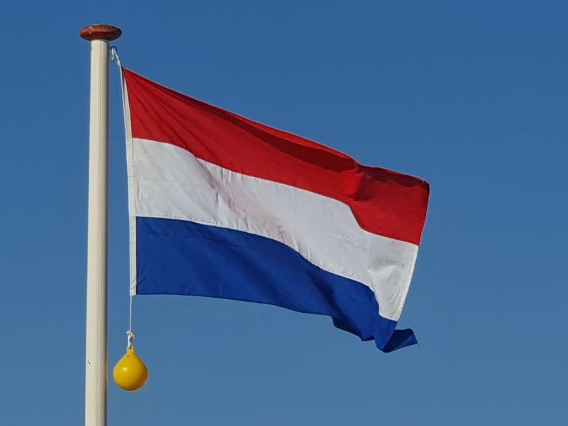 278189 - foto 35