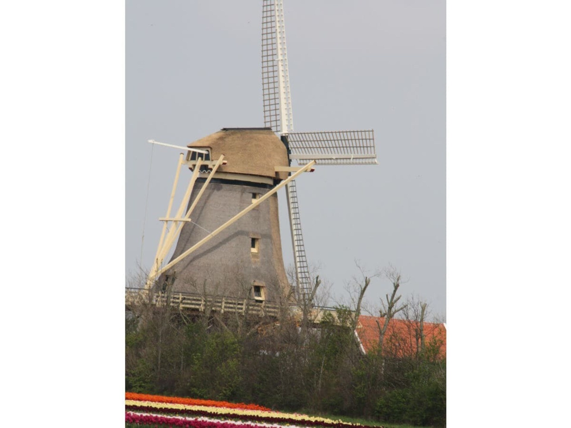 98358 - foto 27