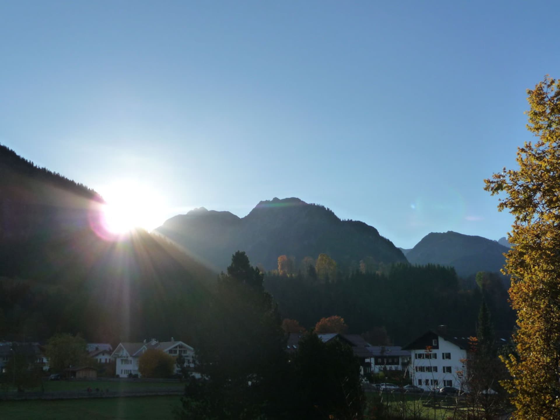 208458 - foto 3