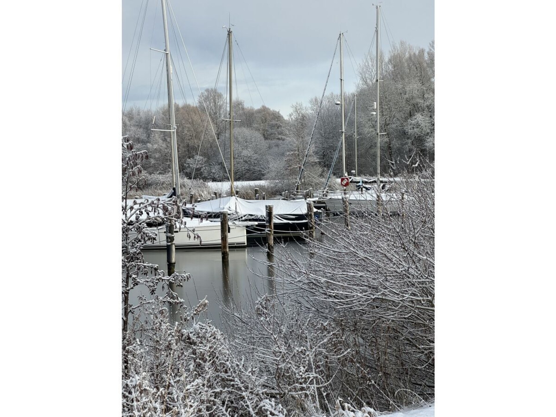428635 - foto 29