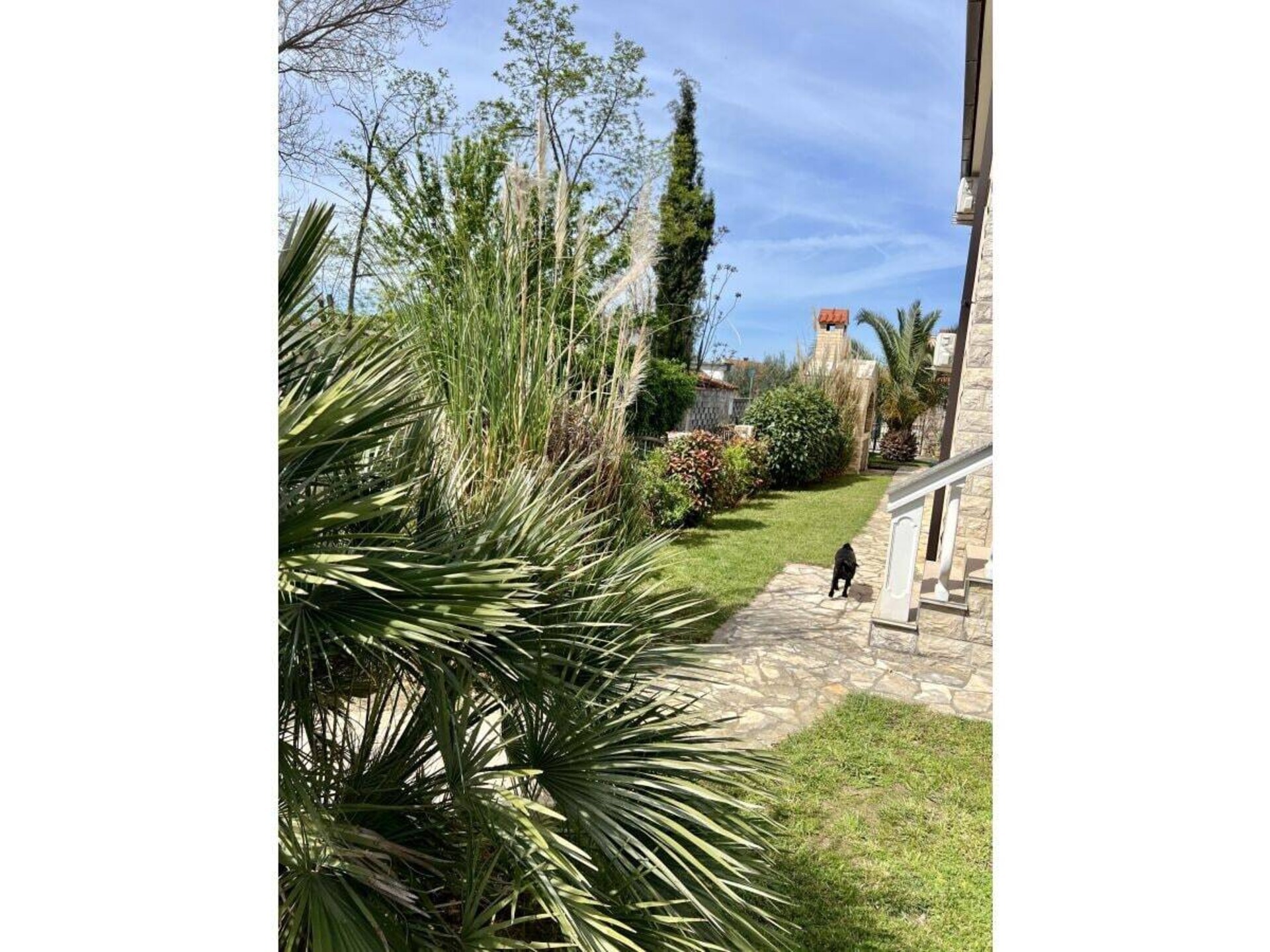 142033 - foto 13