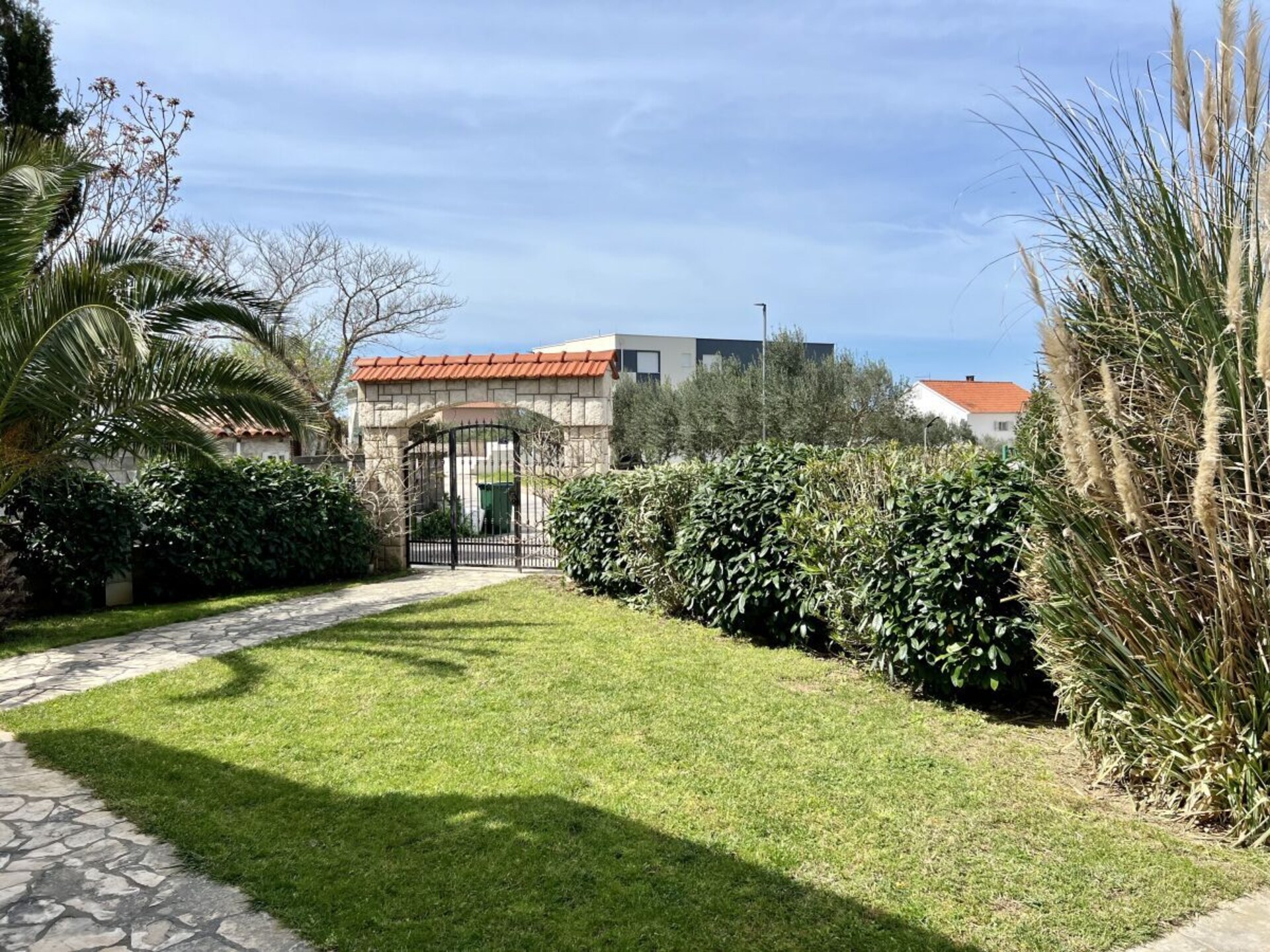 142033 - foto 14