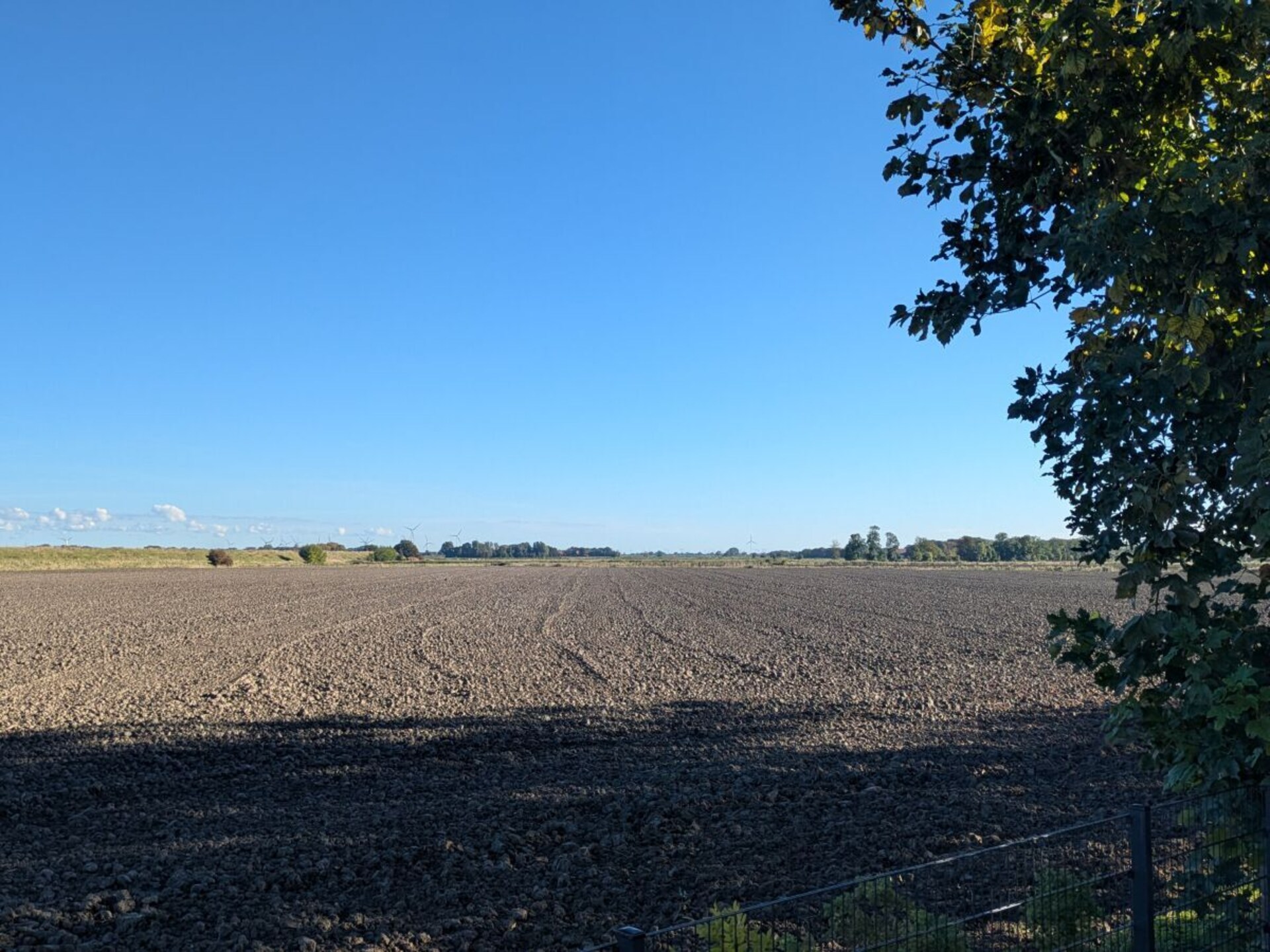 739256 - foto 8