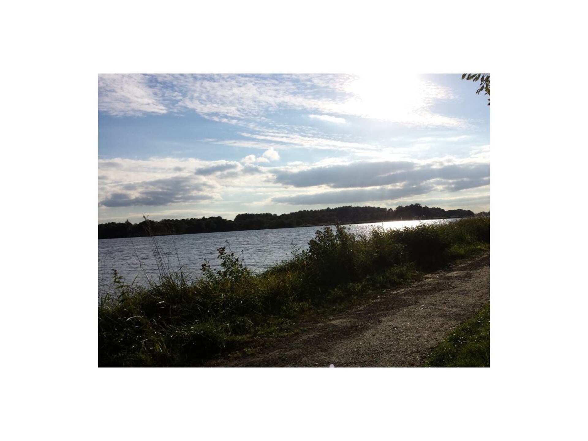 376684 - foto 39