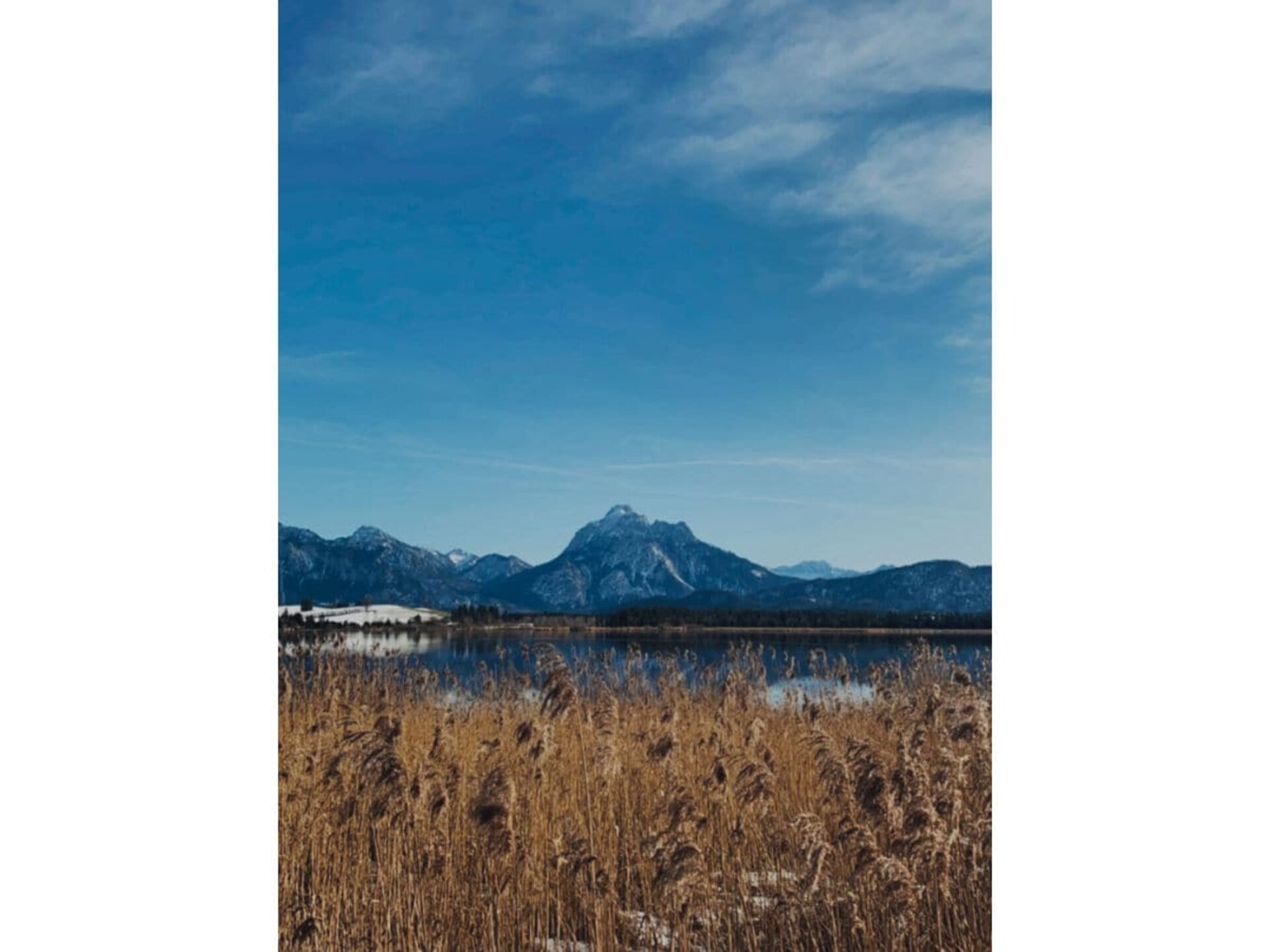 23600 - foto 17